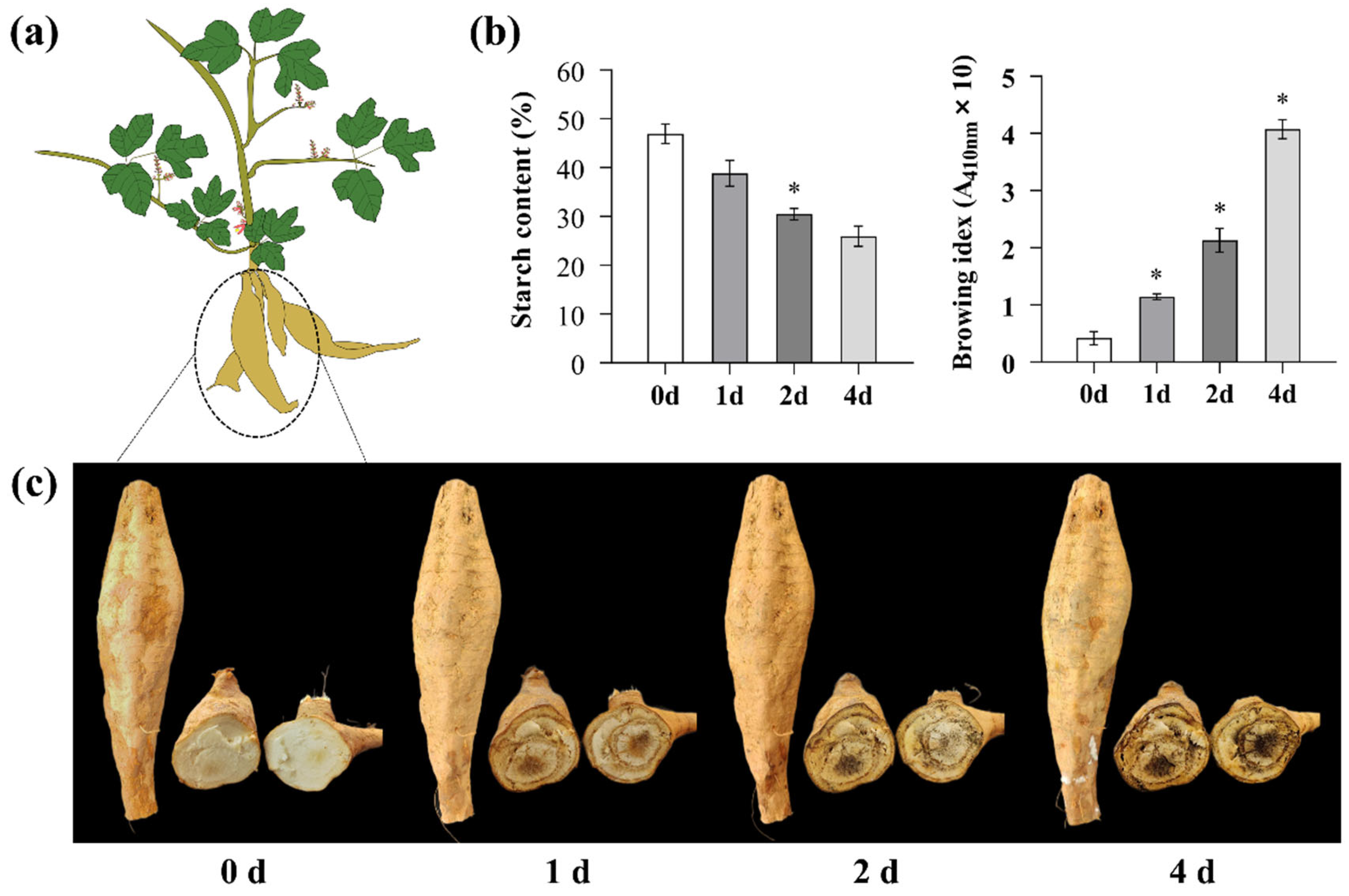 Horticulturae 09 01014 g001