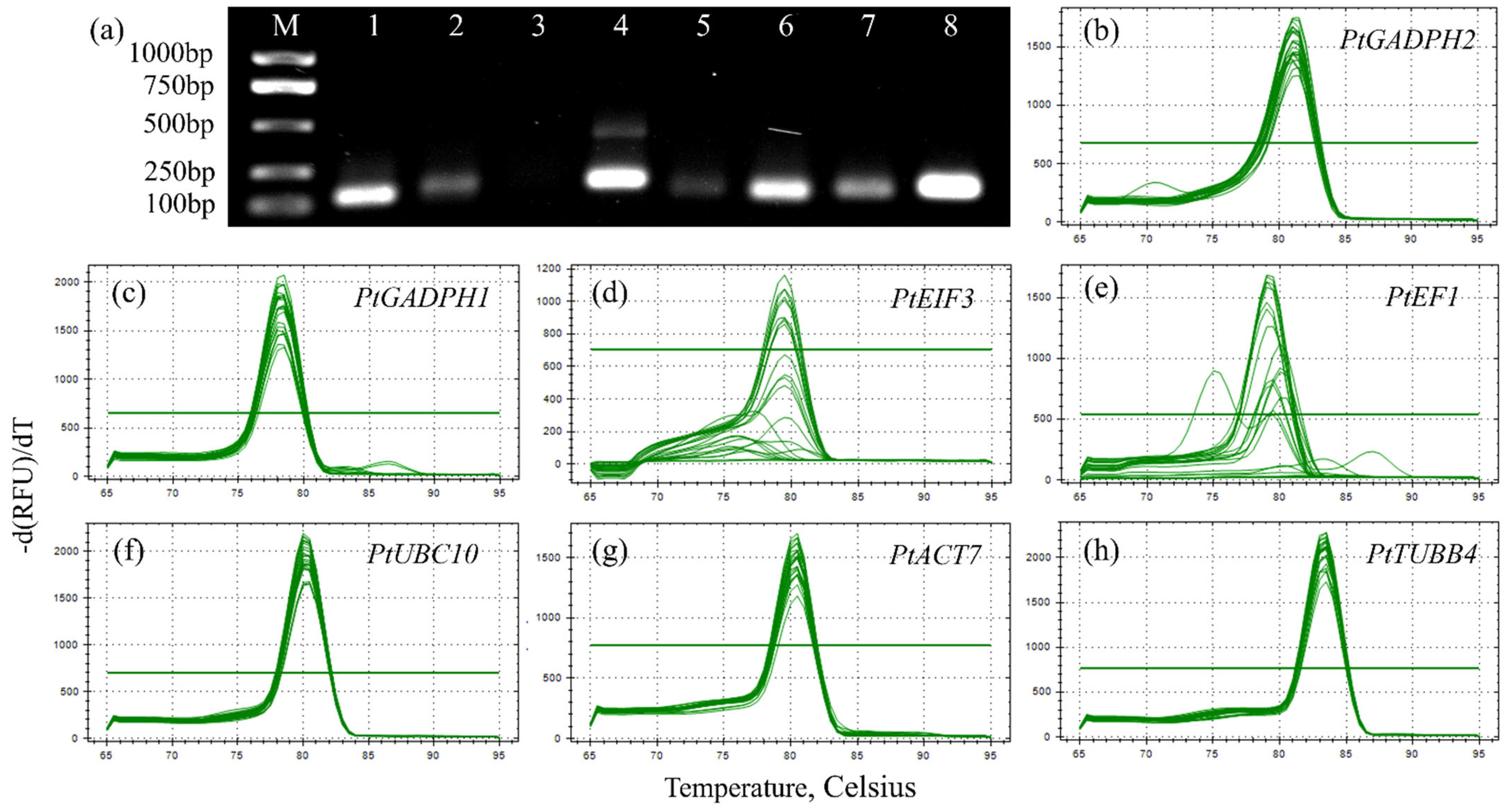 Horticulturae 09 01014 g004
