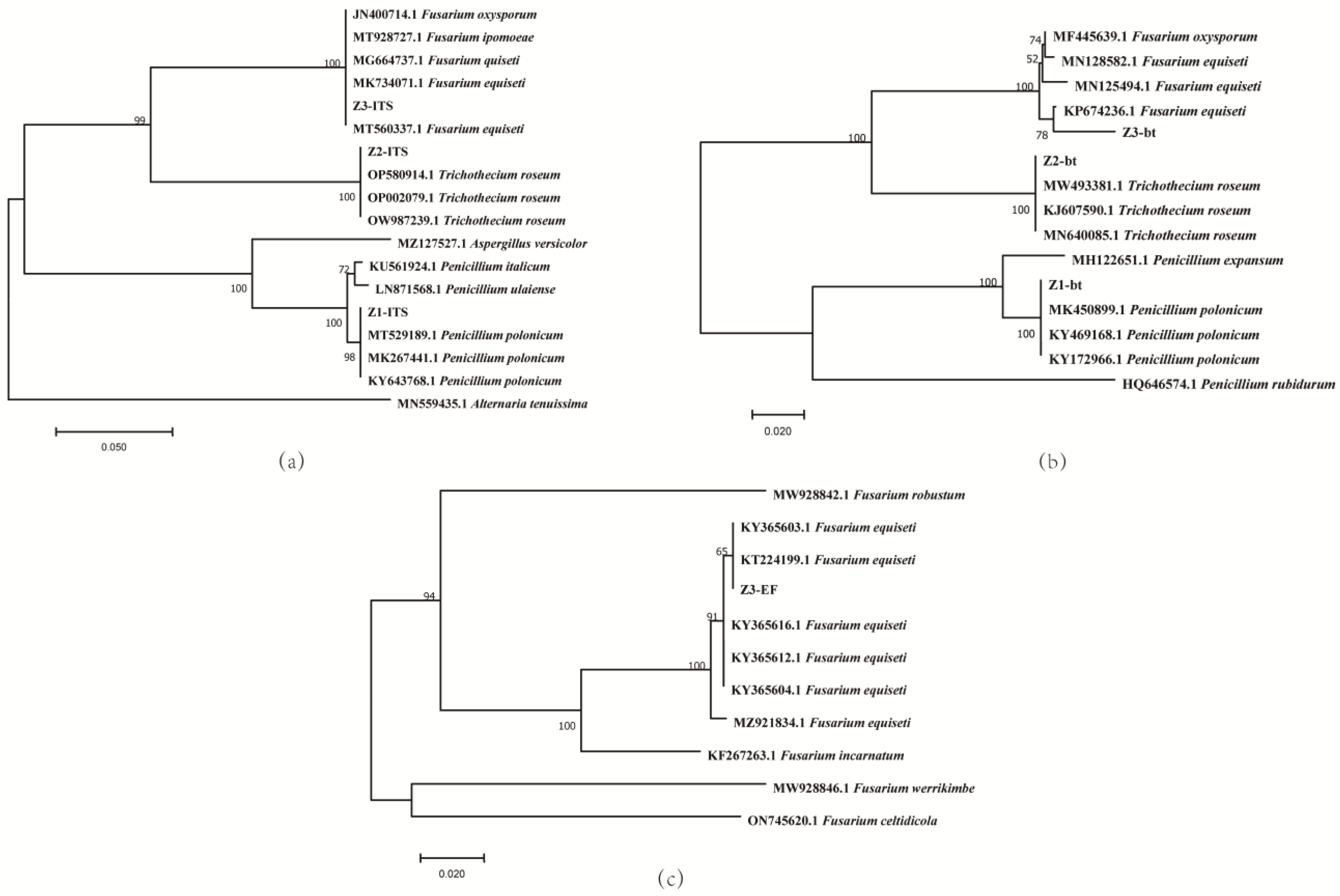 Horticulturae 09 01019 g002