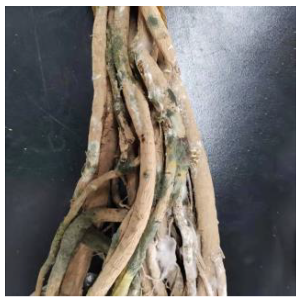 Horticulturae 09 01019 g0a1