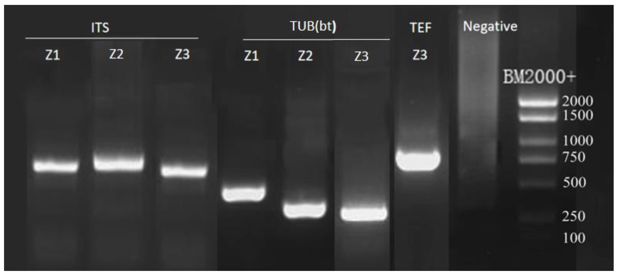 Horticulturae 09 01019 g0a2