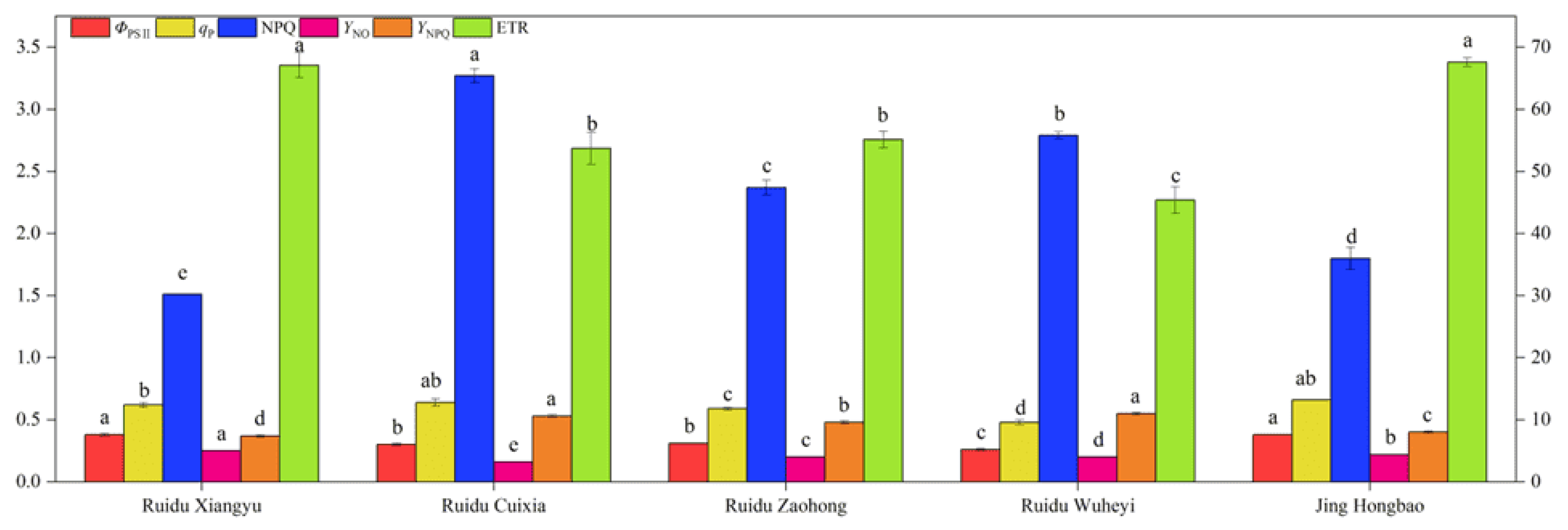 Horticulturae 09 01035 g005