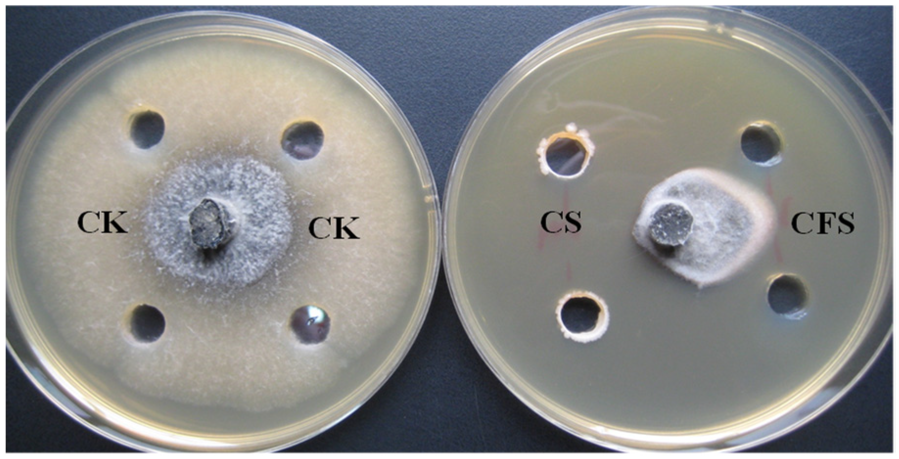 Horticulturae 09 01049 g003