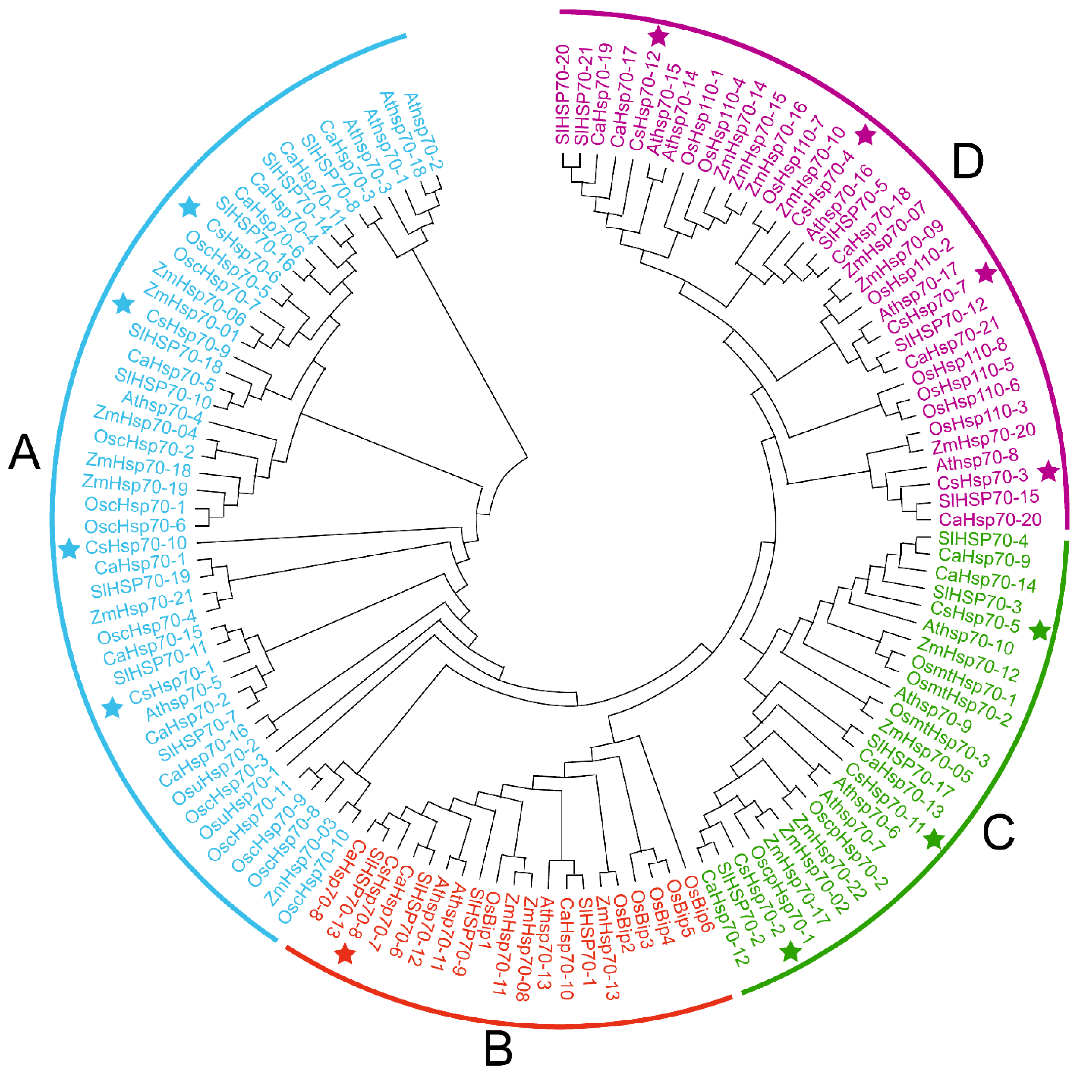 Horticulturae 09 01057 g001