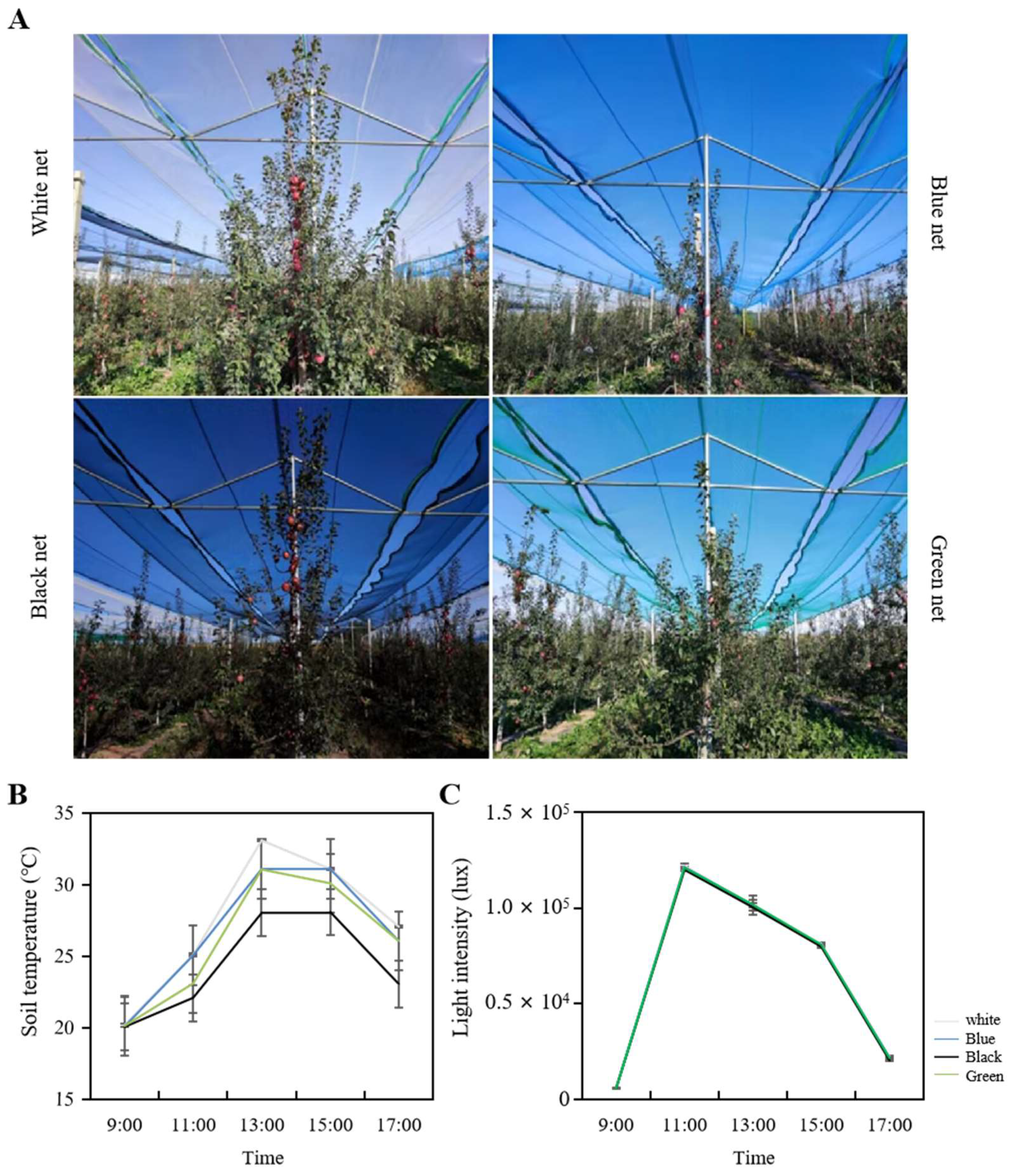 Horticulturae 09 01061 g001