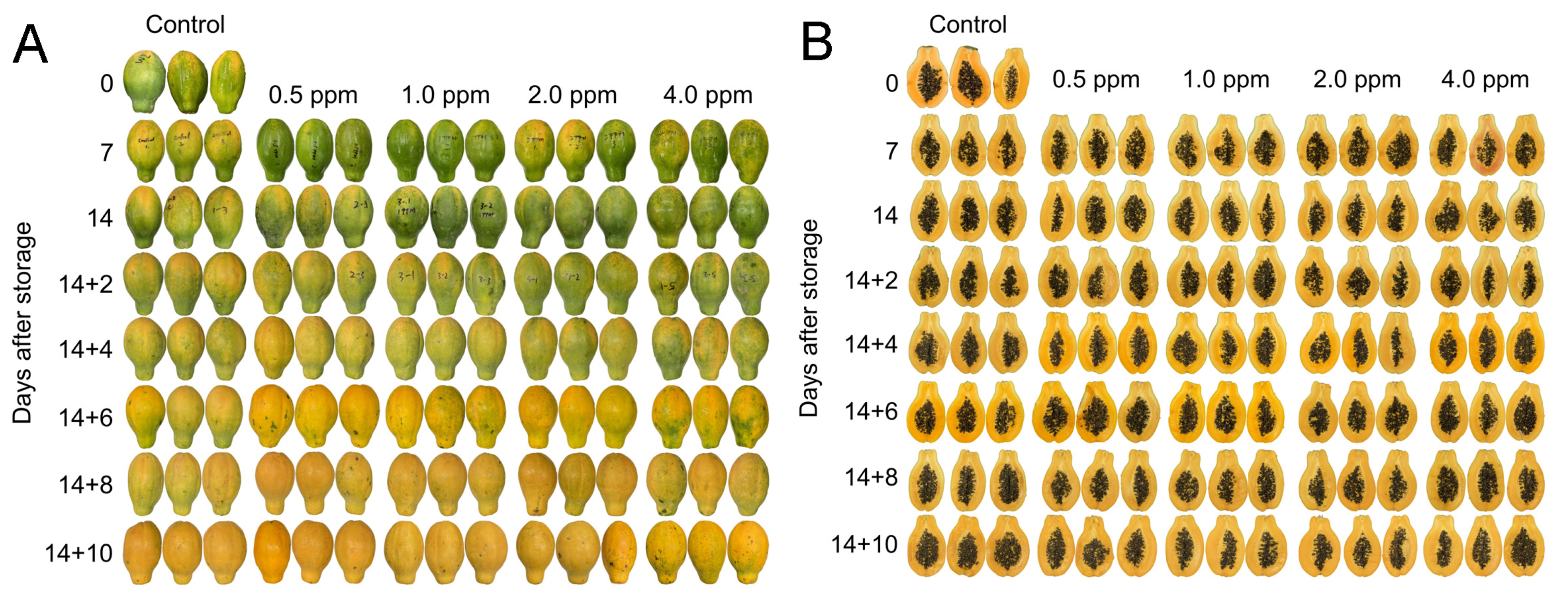 Horticulturae 09 01062 g002 Horticulturae 09 01062 g002