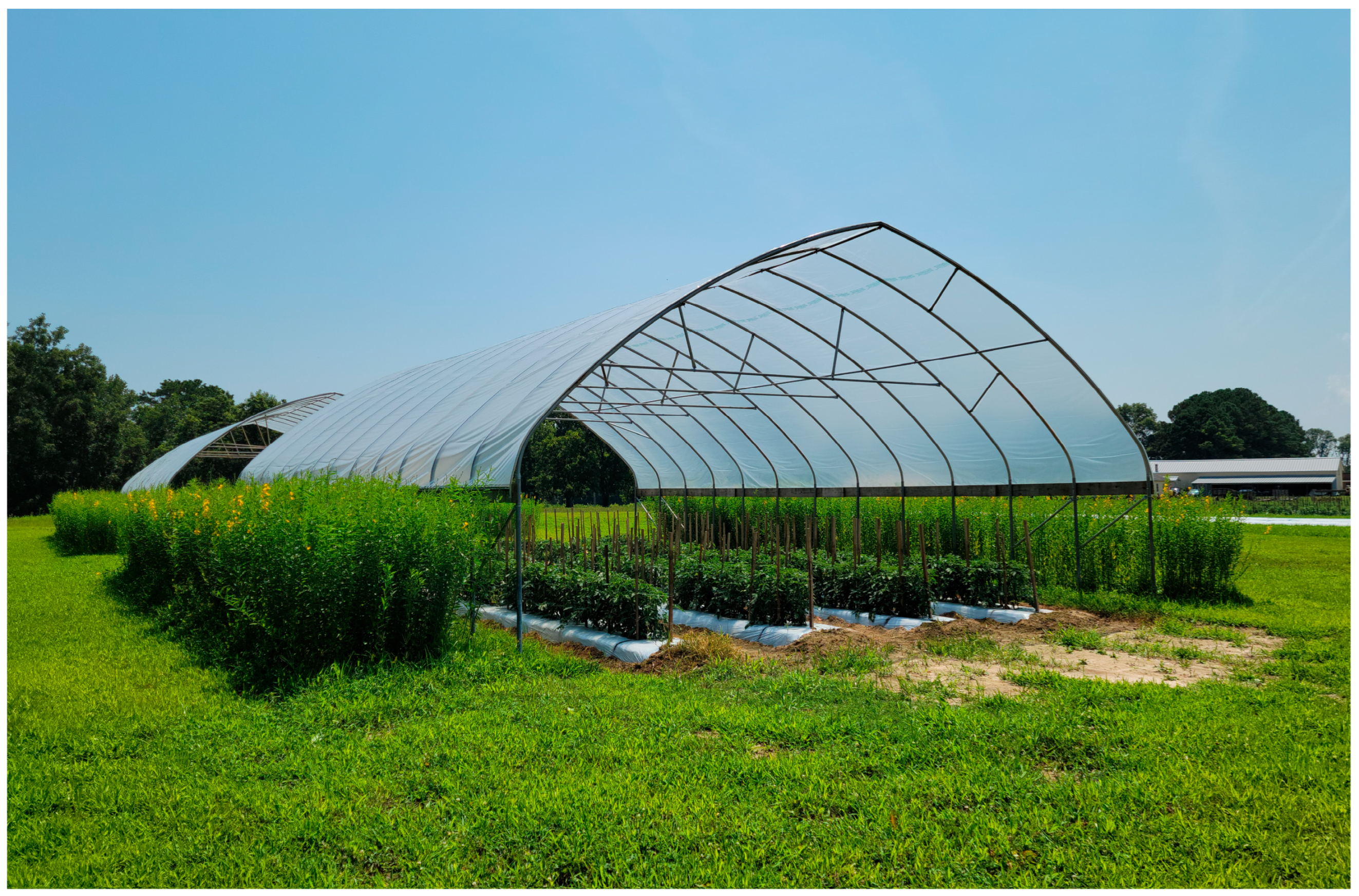 Horticulturae 09 01063 g001