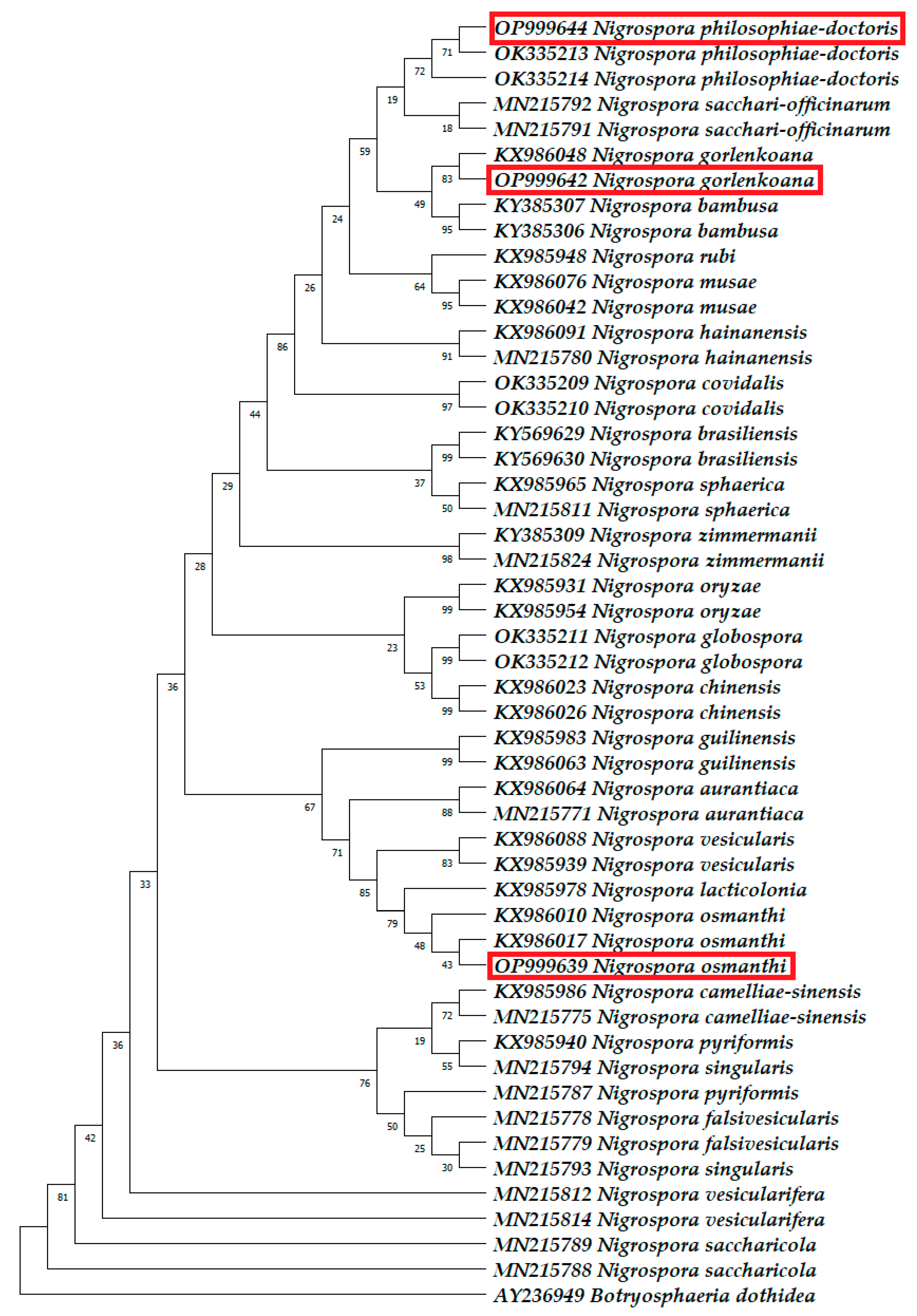 Horticulturae 09 01067 g003