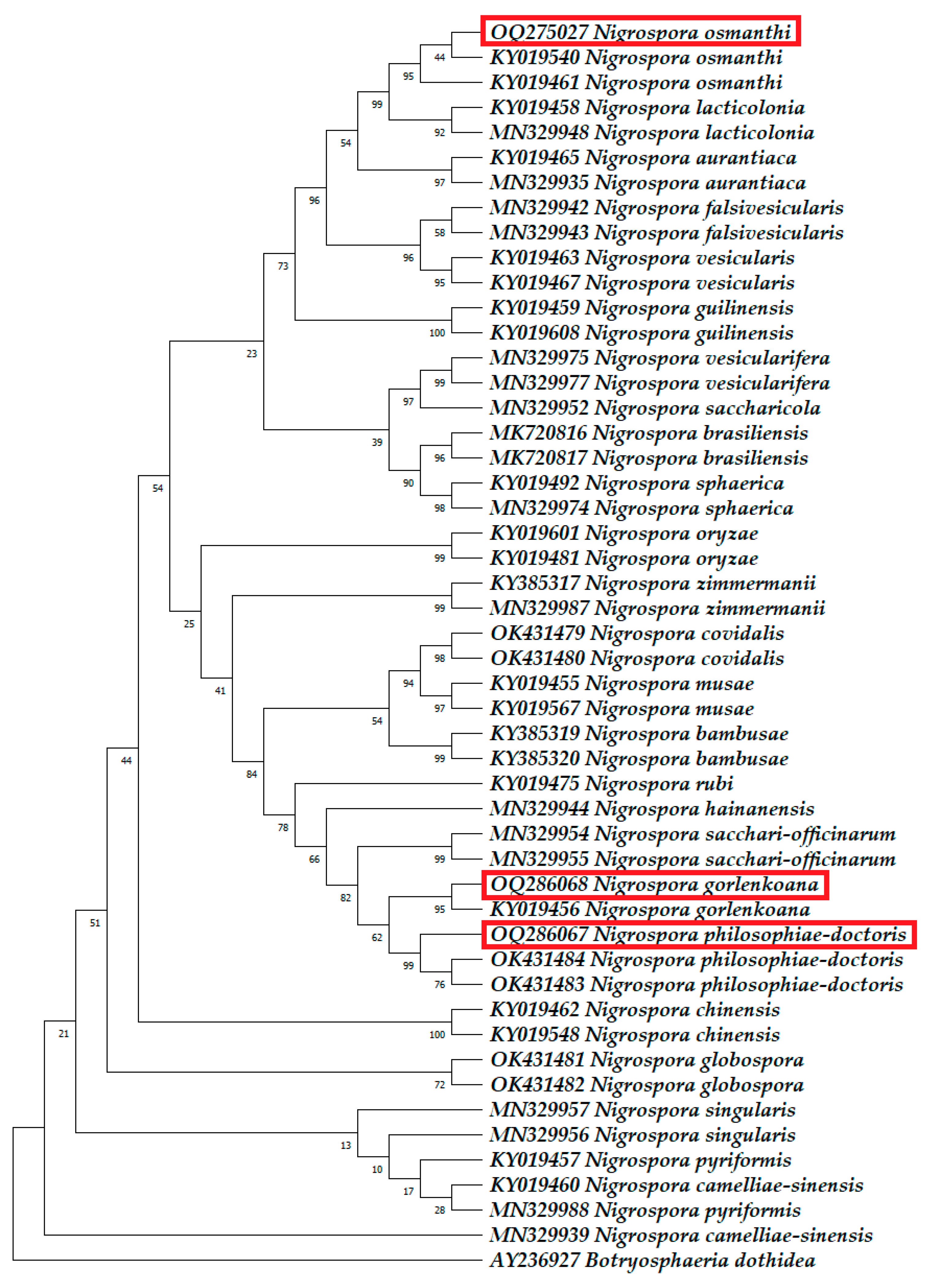Horticulturae 09 01067 g004