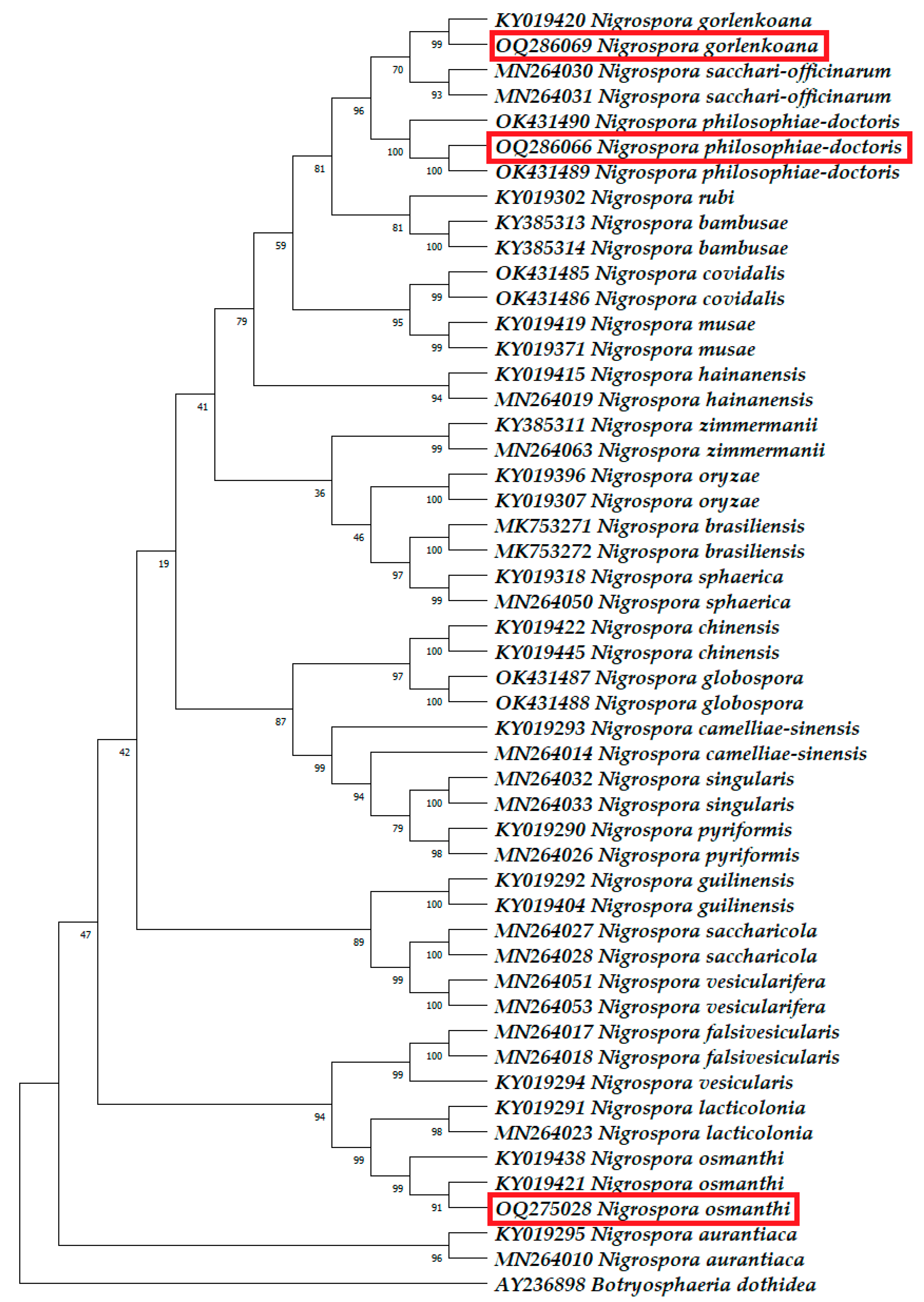 Horticulturae 09 01067 g005