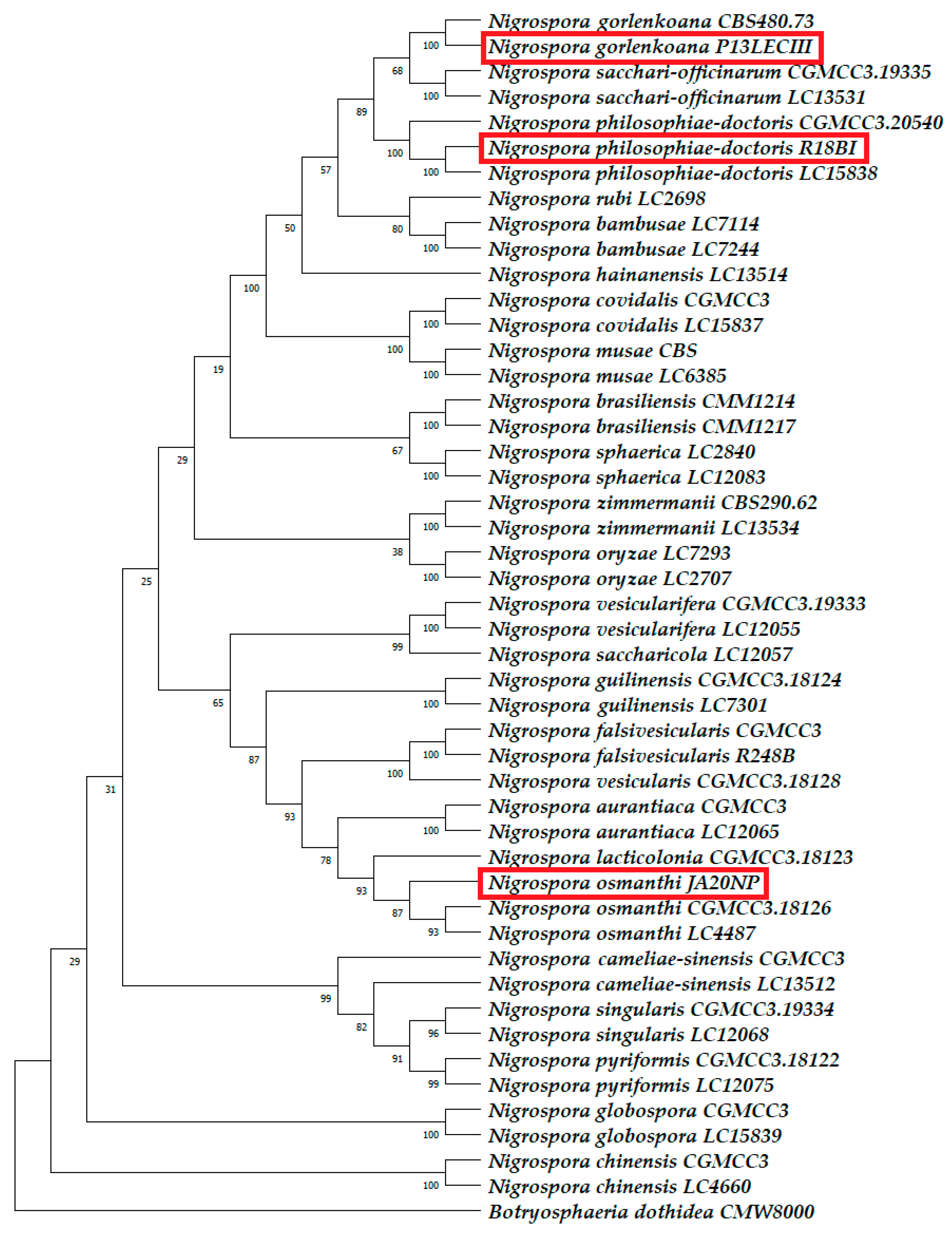 Horticulturae 09 01067 g006