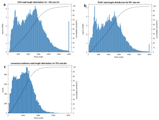 Anthocyanin Metabolite and Transcriptome Sequencing Analysis