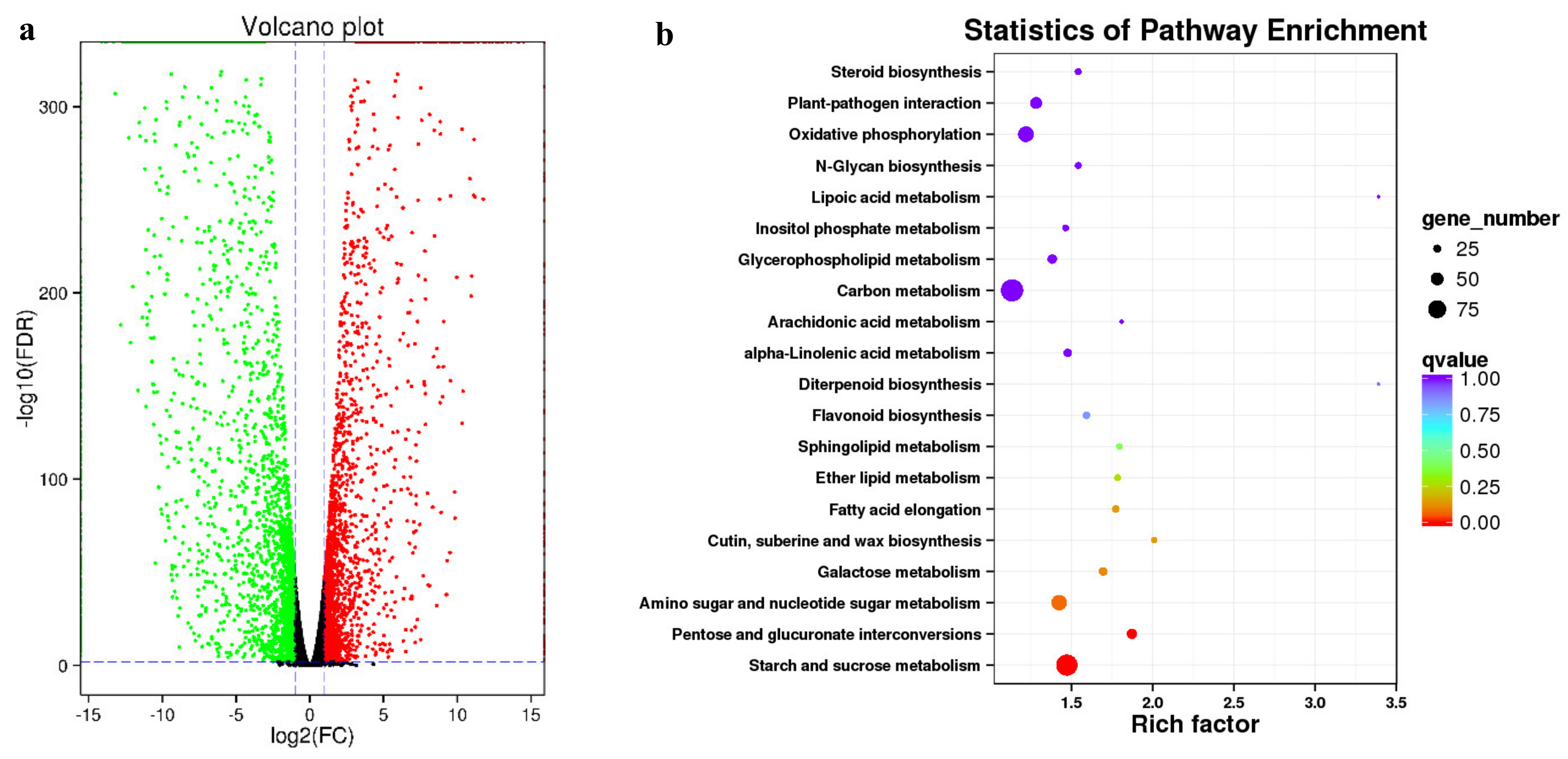 Horticulturae 09 01071 g007