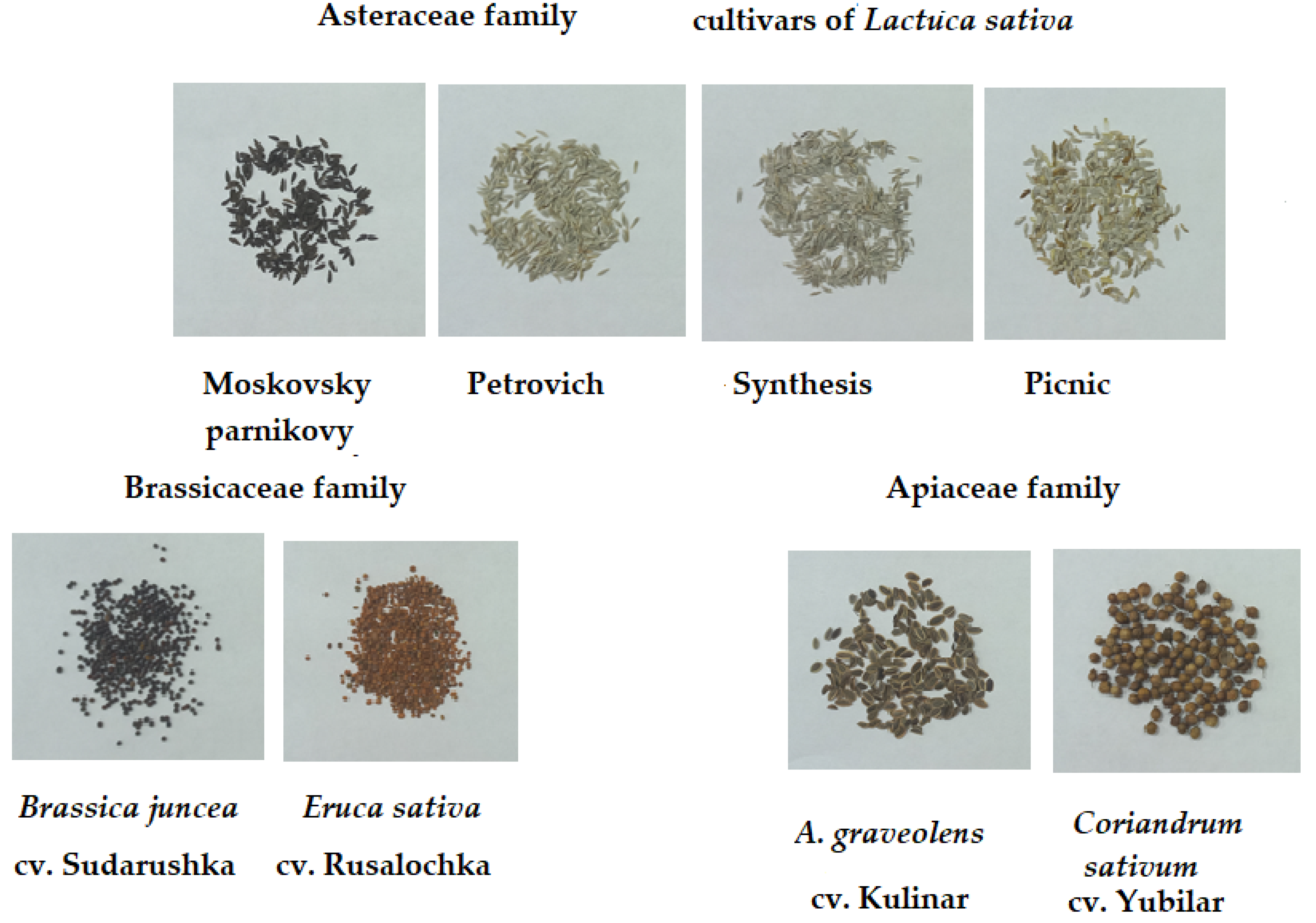 Horticulturae 09 01073 g001