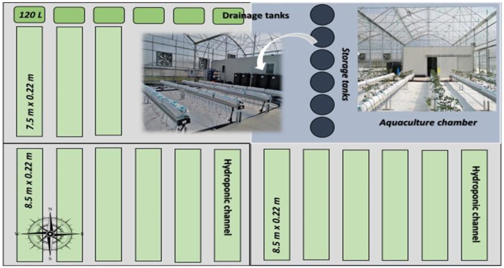 Horticulturae 09 01077 g001