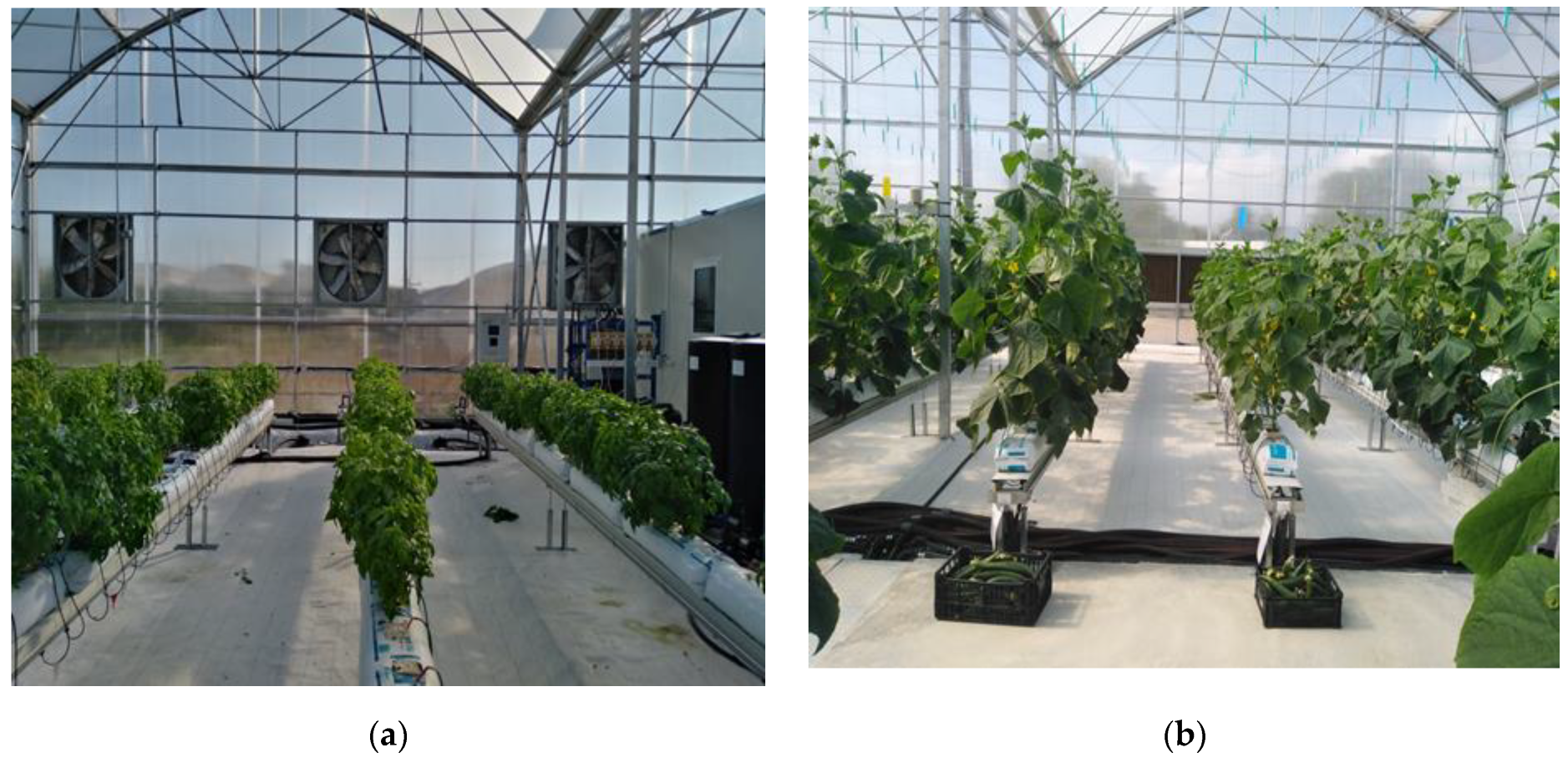 Horticulturae 09 01077 g003a