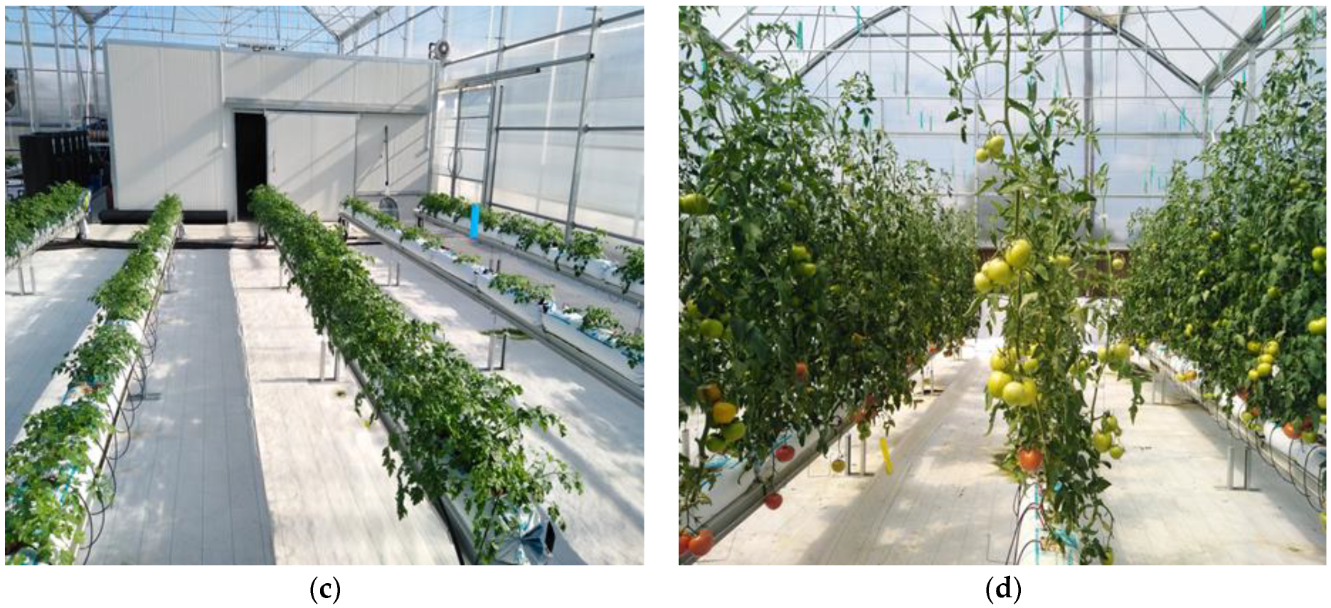 Horticulturae 09 01077 g003b