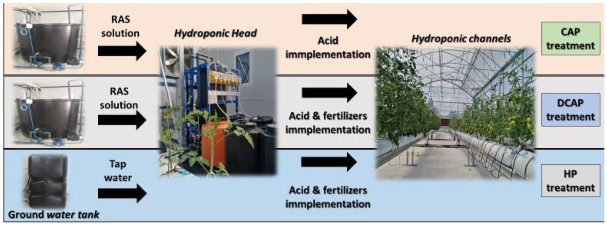 Horticulturae 09 01077 g004