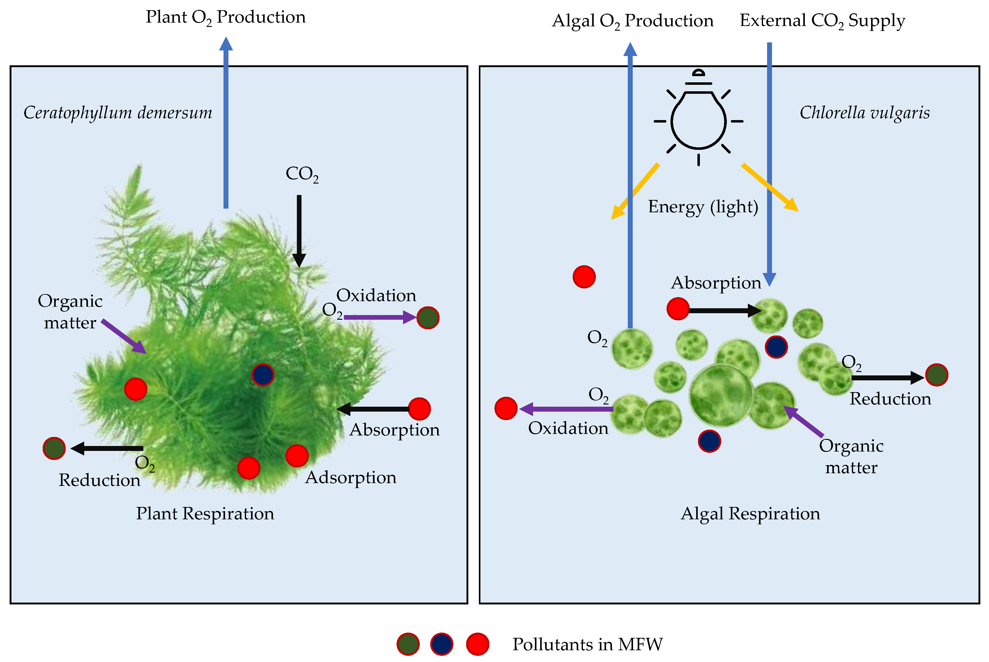 Horticulturae 09 01081 g004