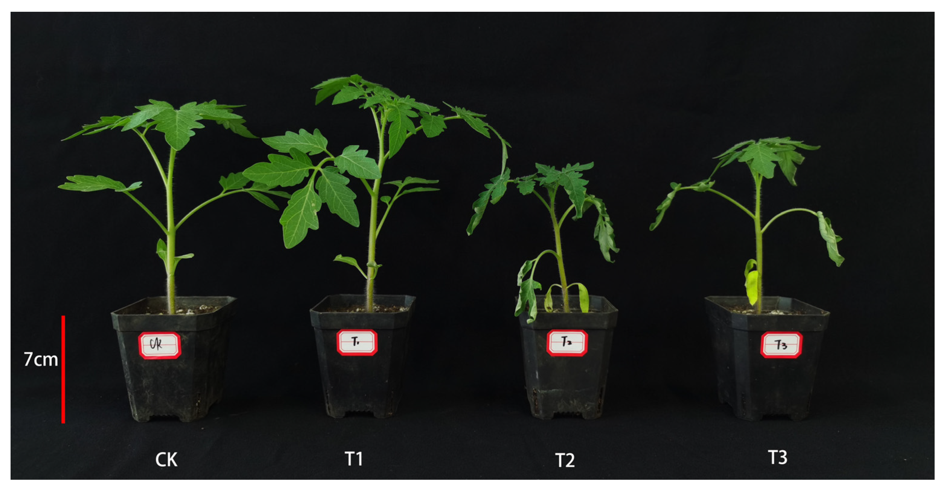 Horticulturae 09 01083 g001