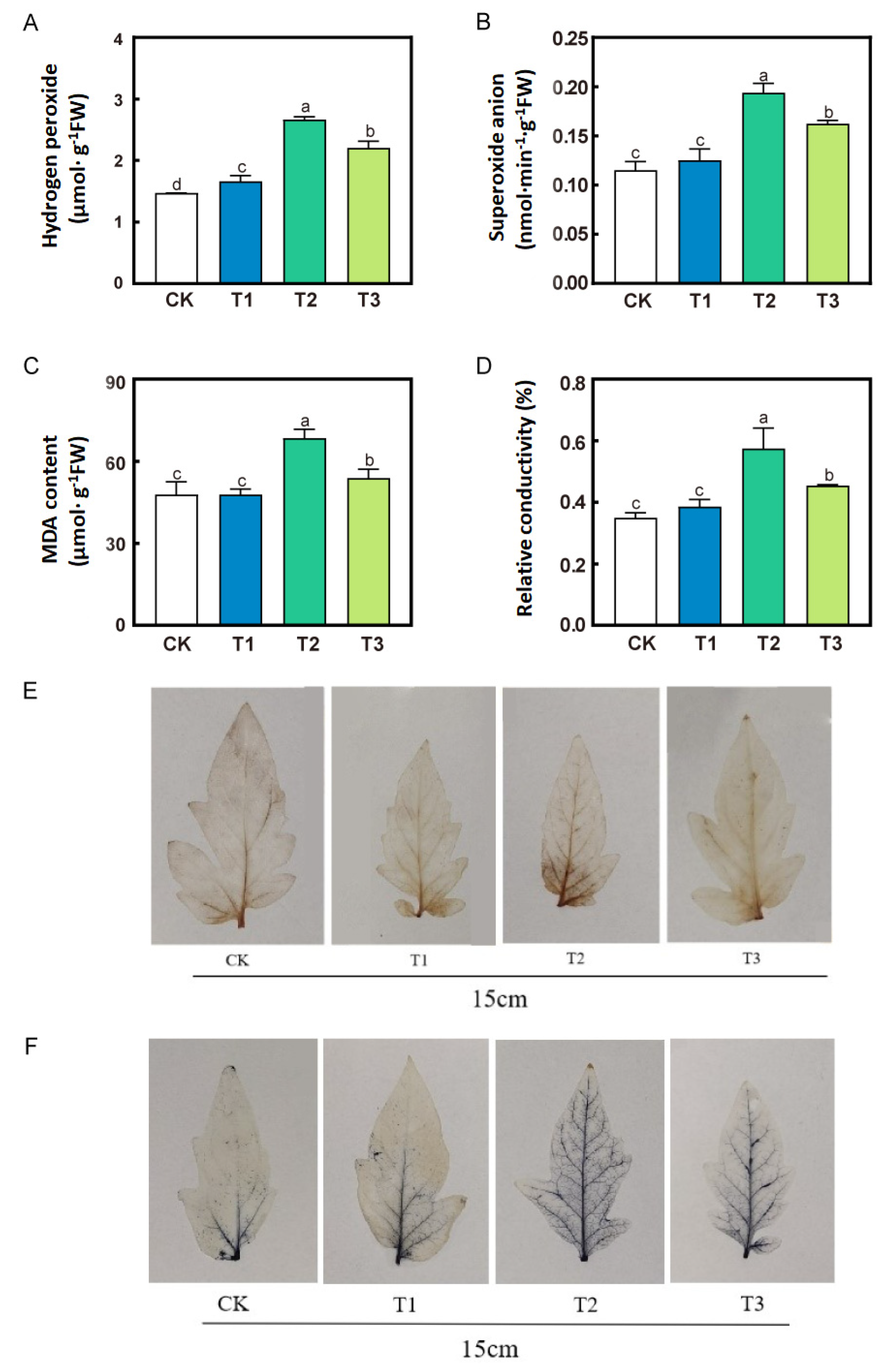 Horticulturae 09 01083 g003