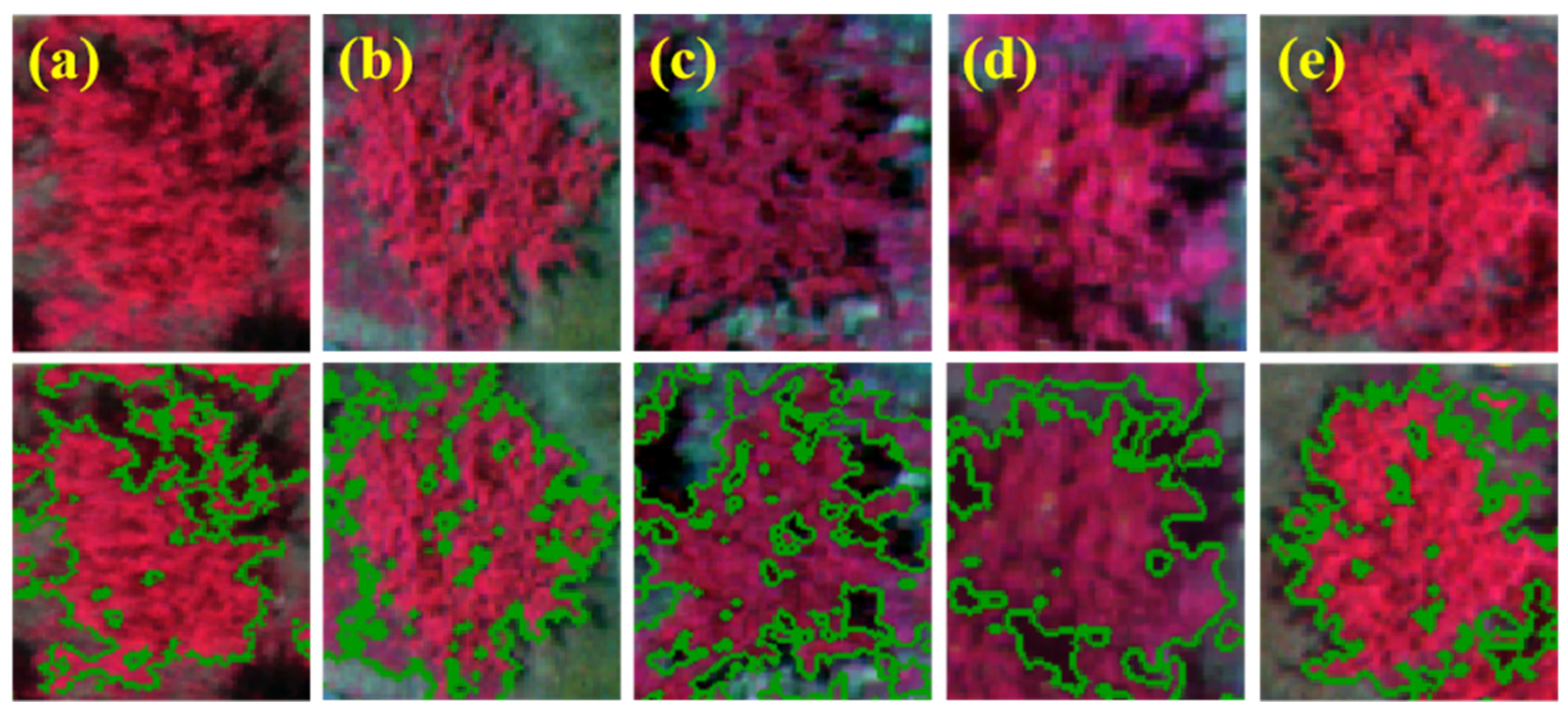 Horticulturae 09 01085 g004