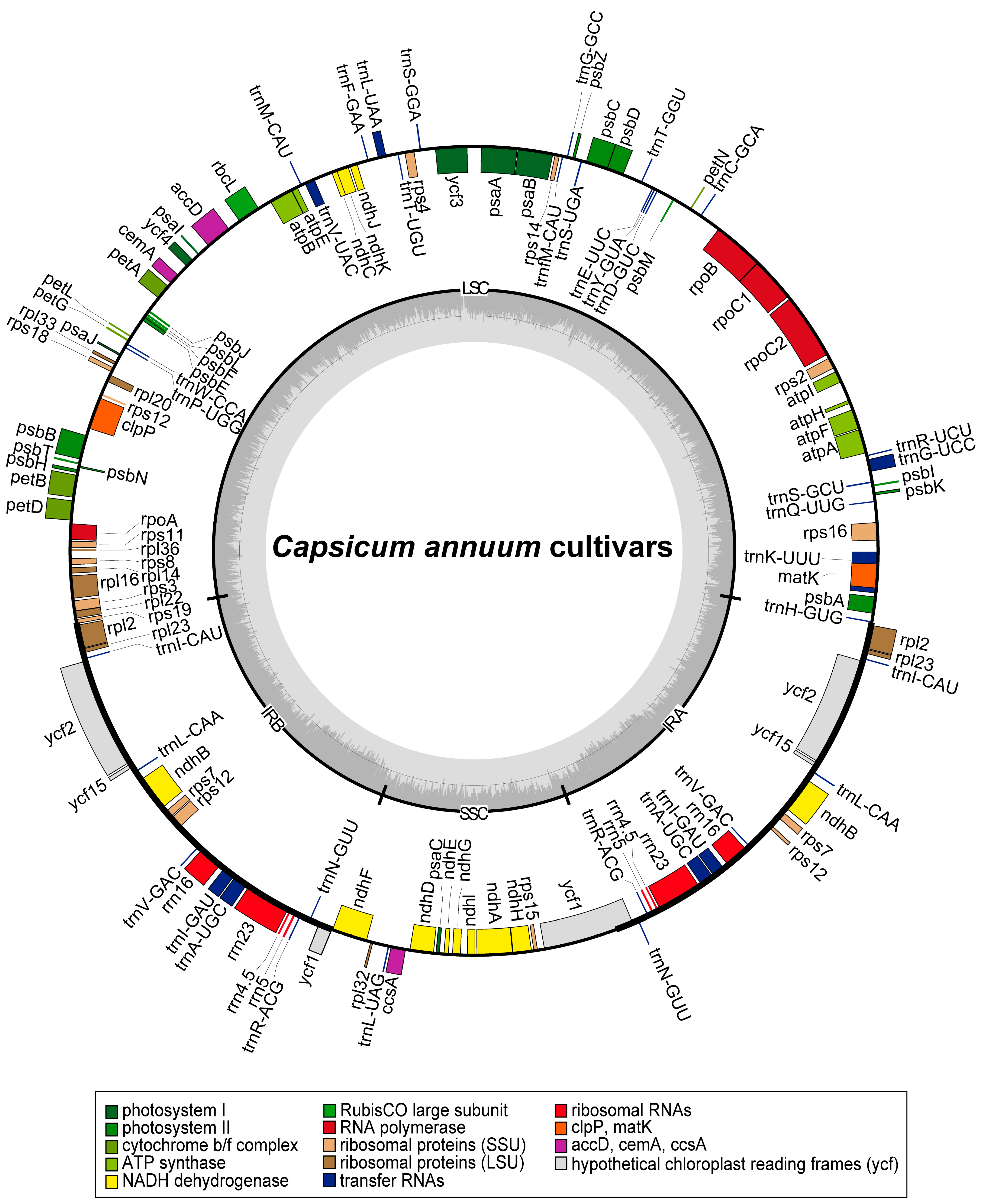Horticulturae 09 01092 g001