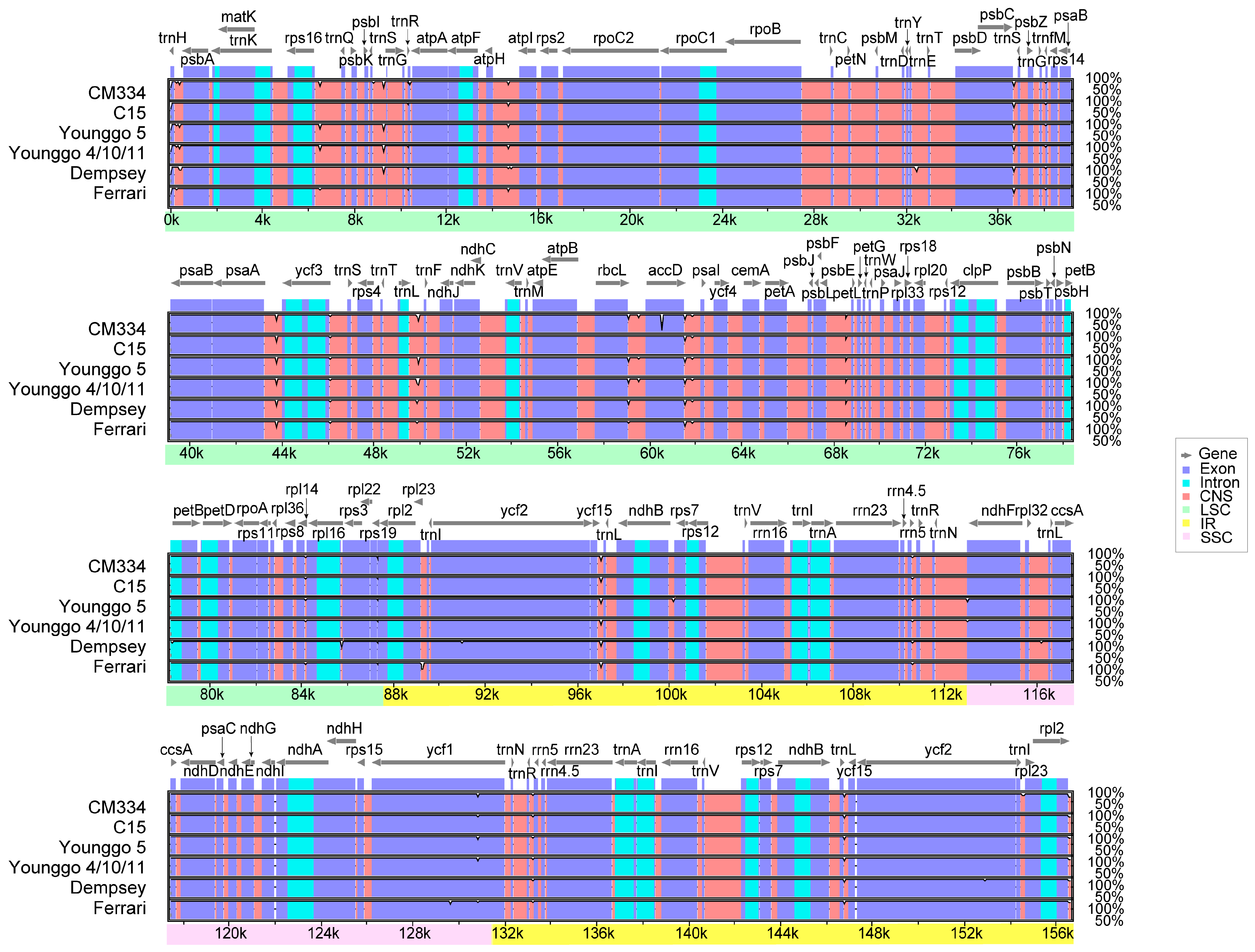 Horticulturae 09 01092 g005