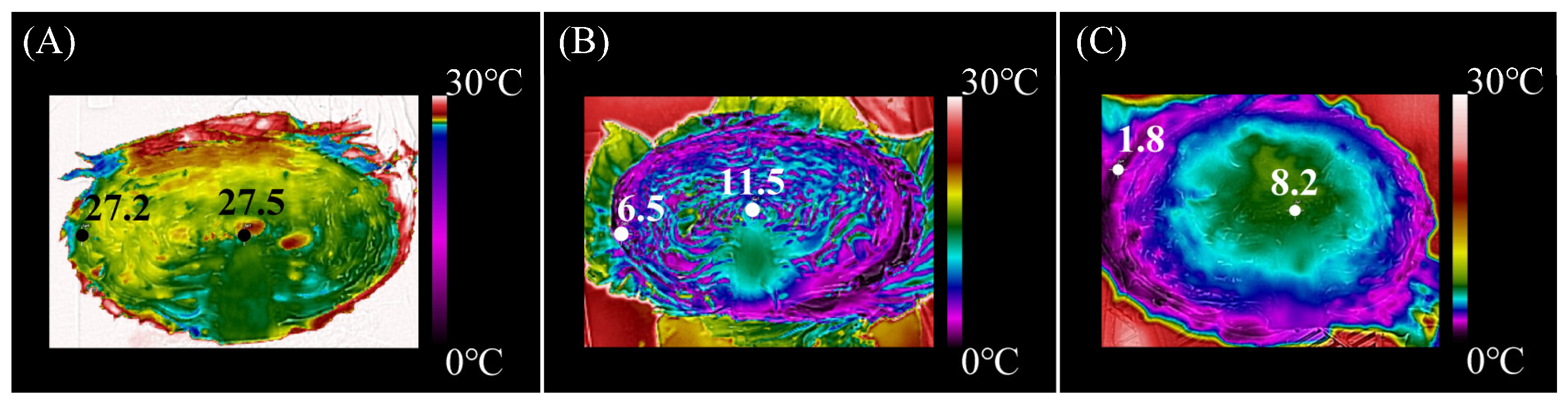 Horticulturae 09 01096 g002