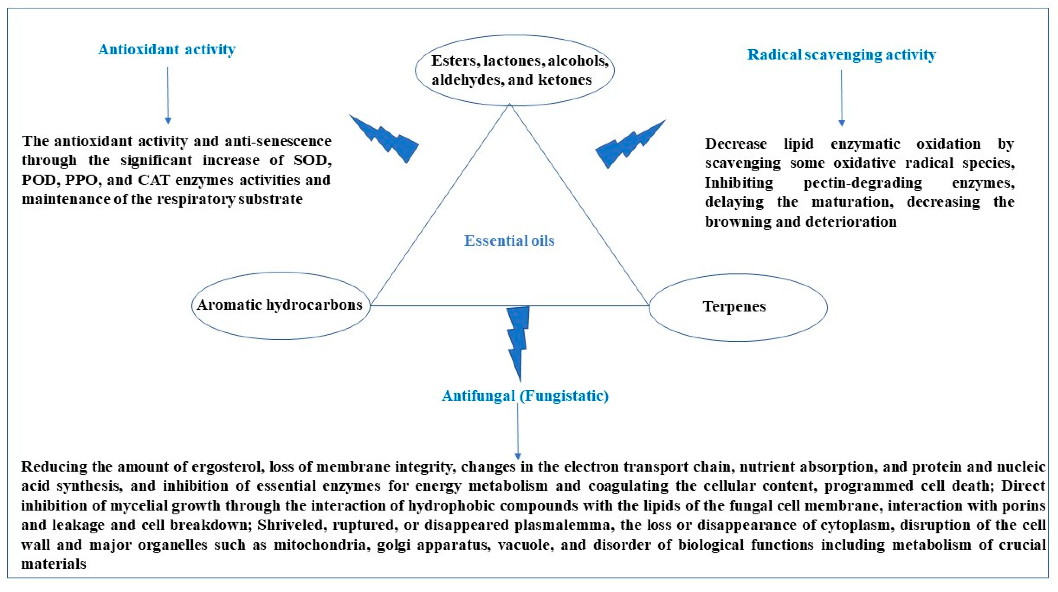 Horticulturae 09 01099 g003