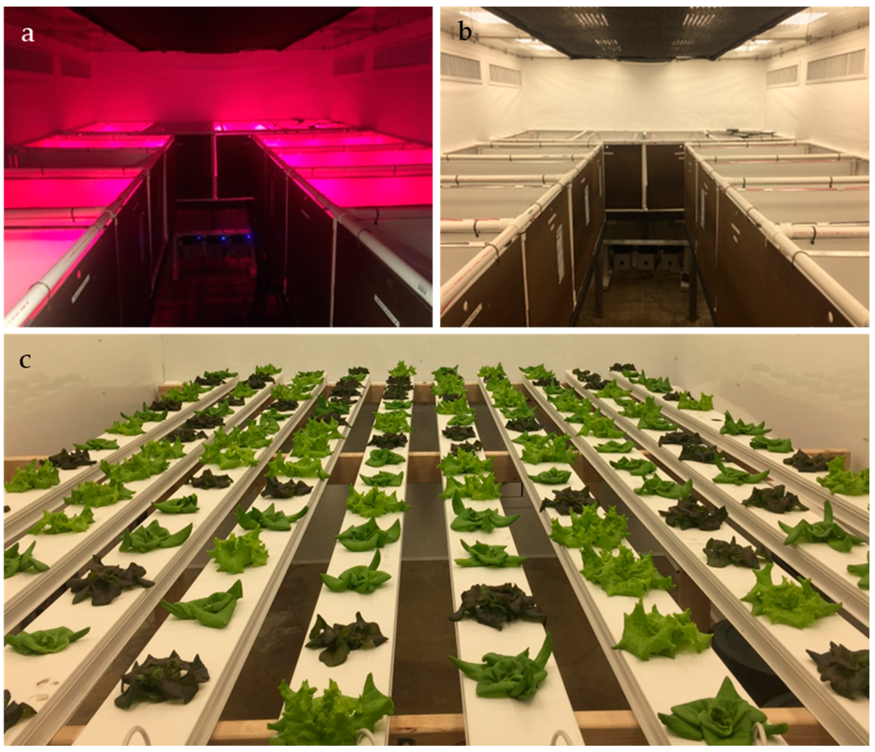 Horticulturae 09 01100 g002