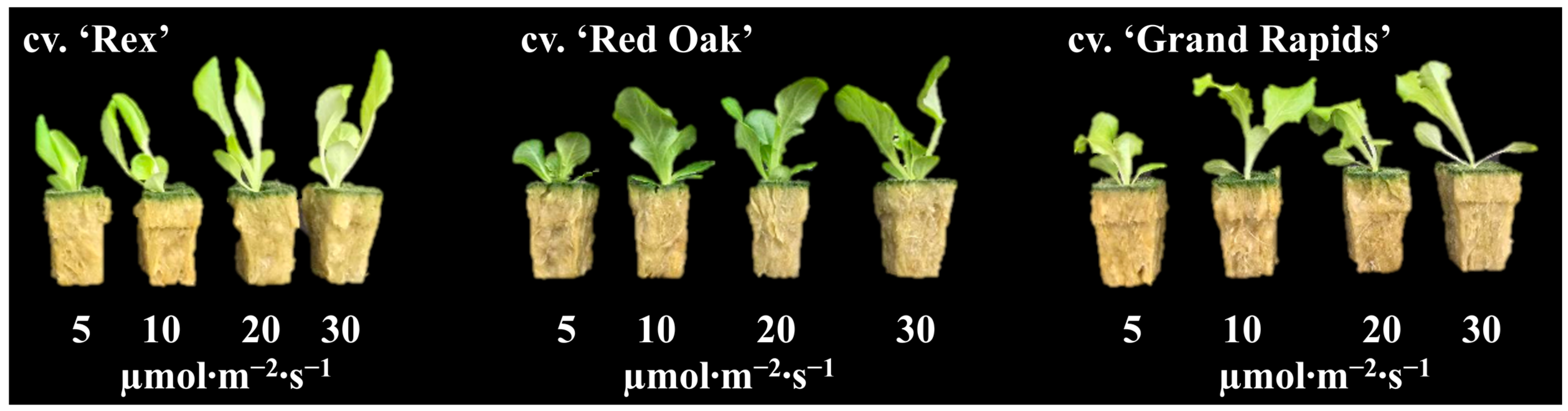 Horticulturae 09 01100 g005