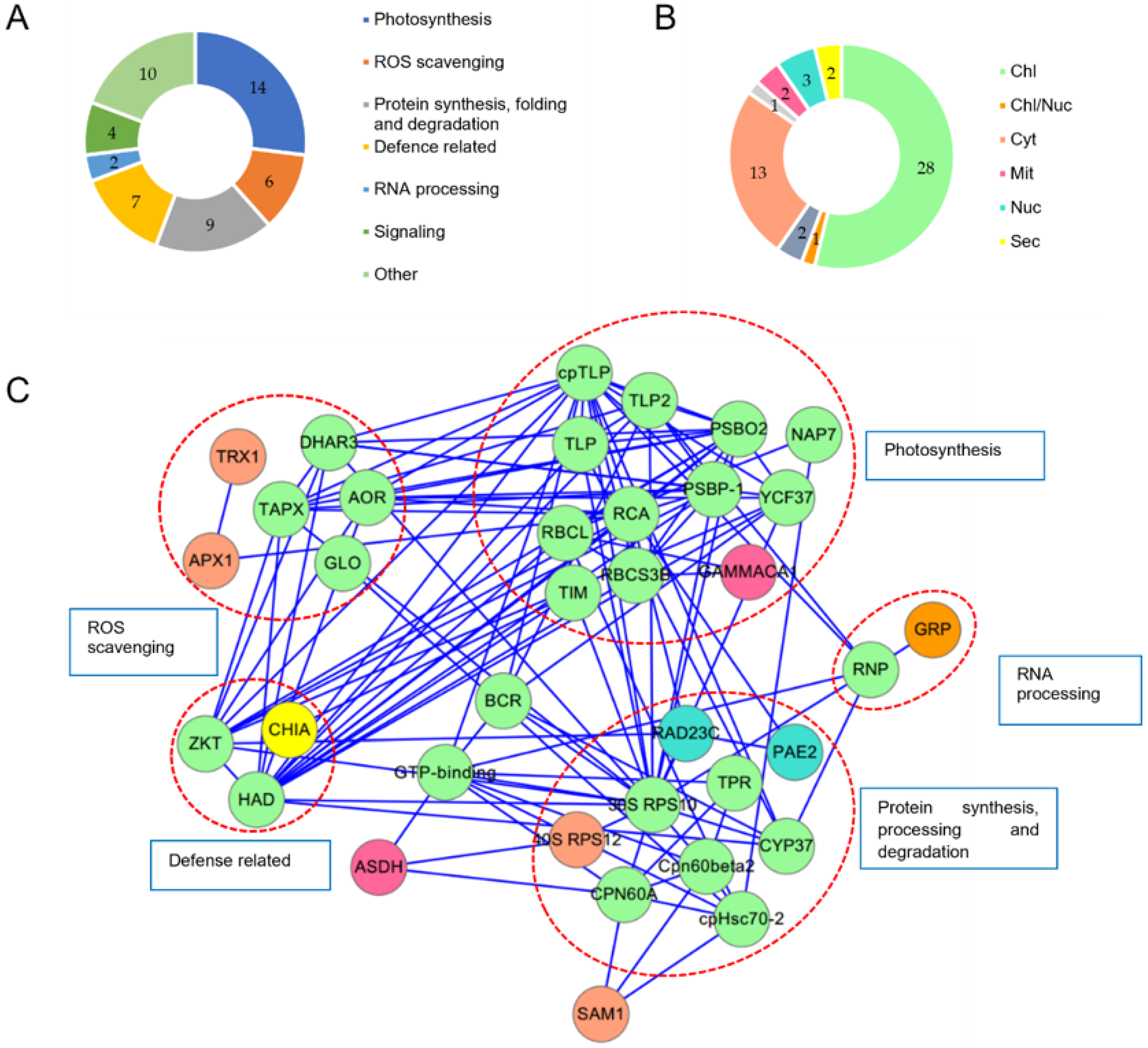 Horticulturae 09 01114 g005