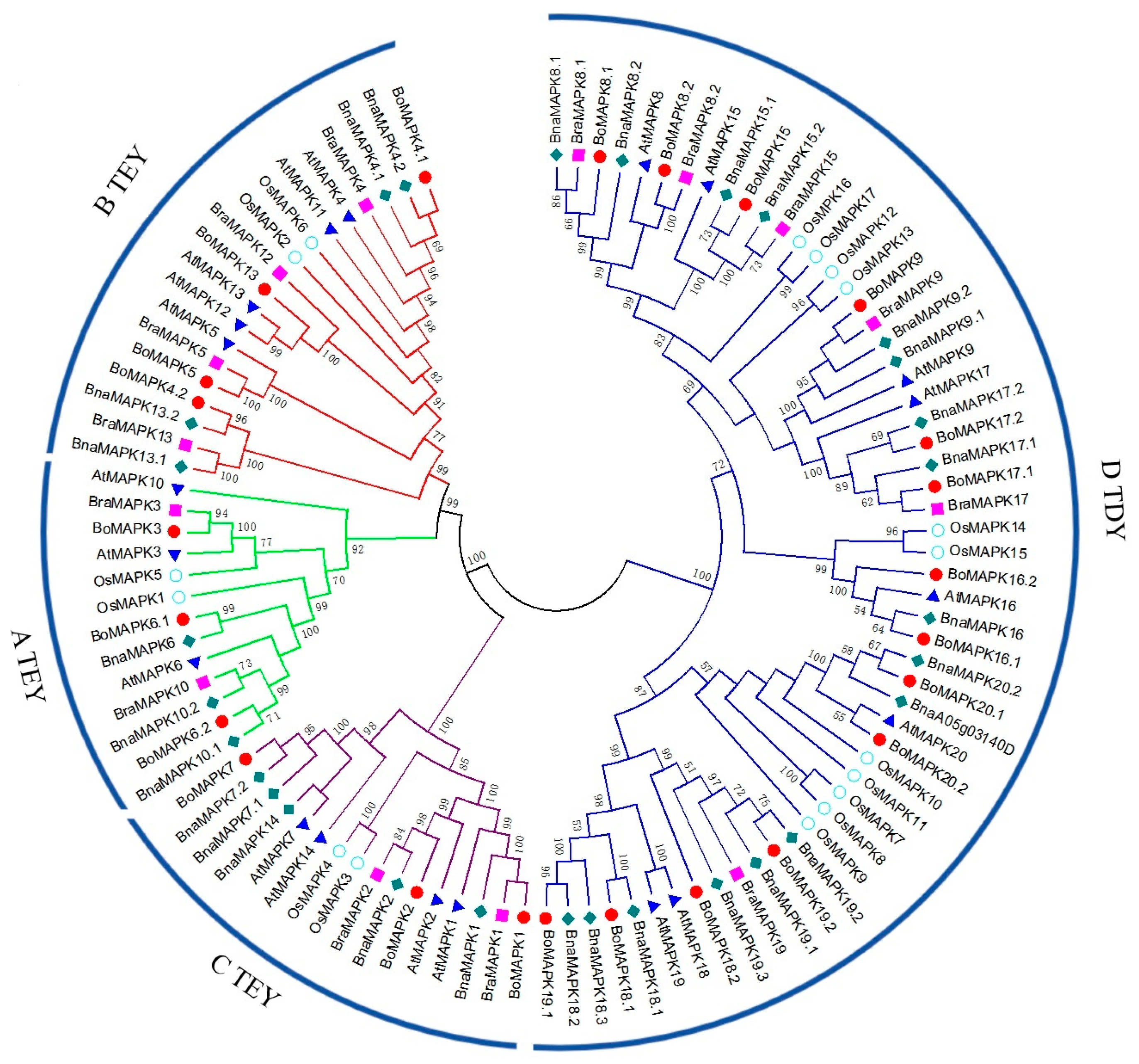 Horticulturae 09 01119 g002