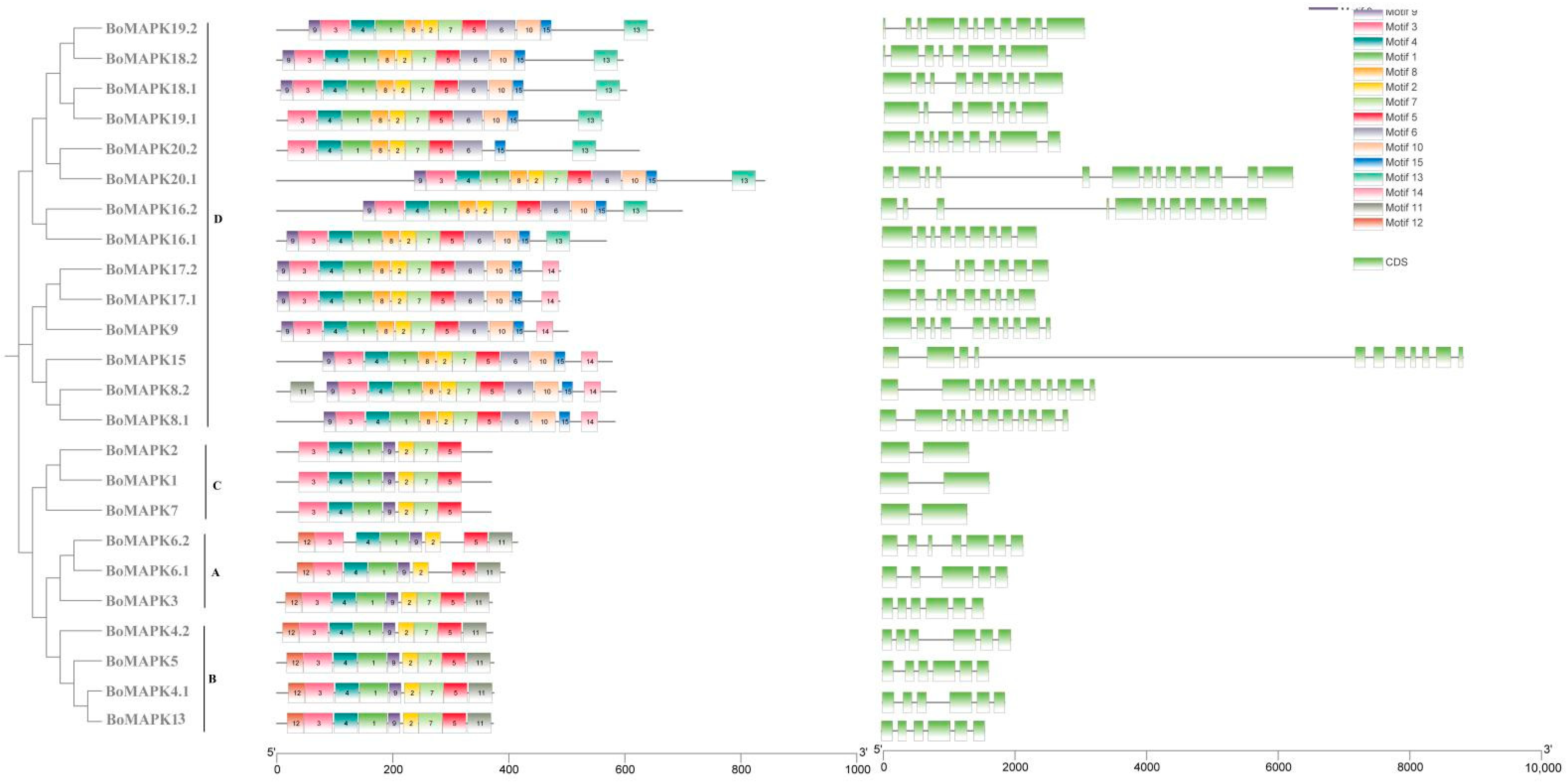Horticulturae 09 01119 g004