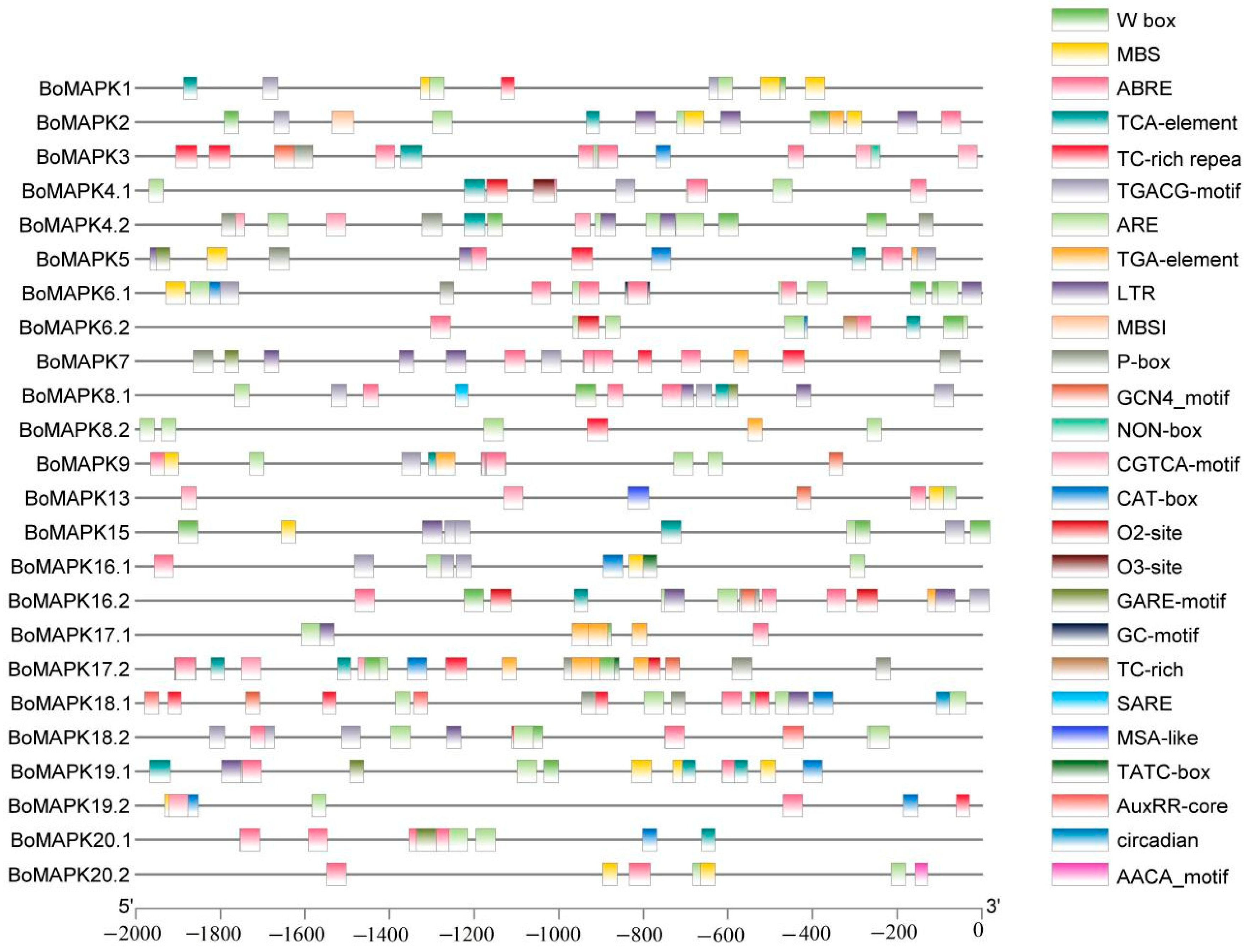 Horticulturae 09 01119 g005