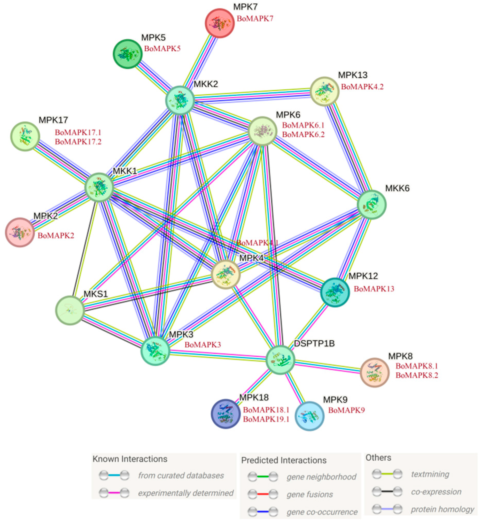 Horticulturae 09 01119 g006
