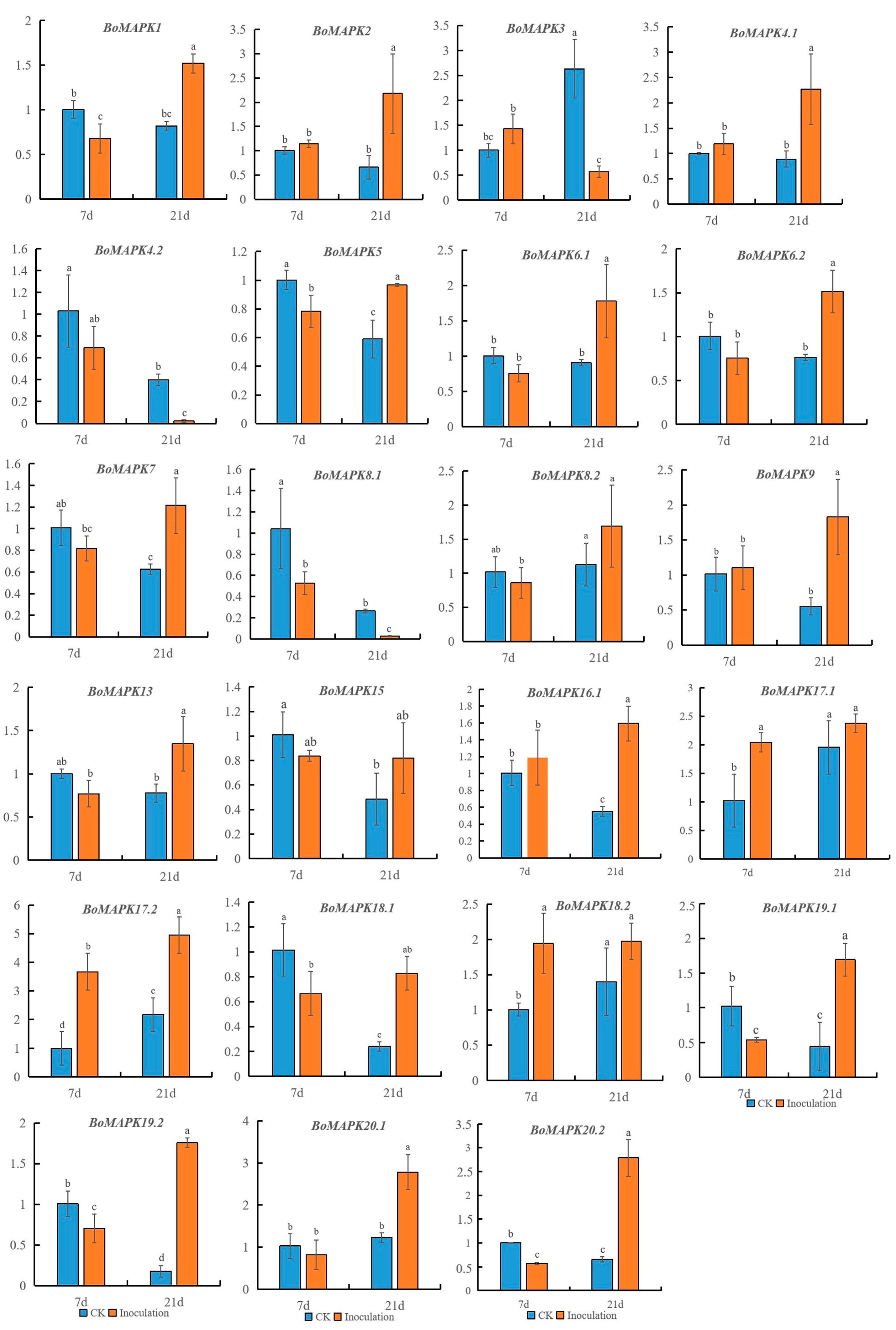 Horticulturae 09 01119 g008
