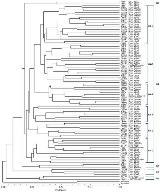 Only 11 Simple Sequence Repeats Needed to Identify Chinese Cabbage 