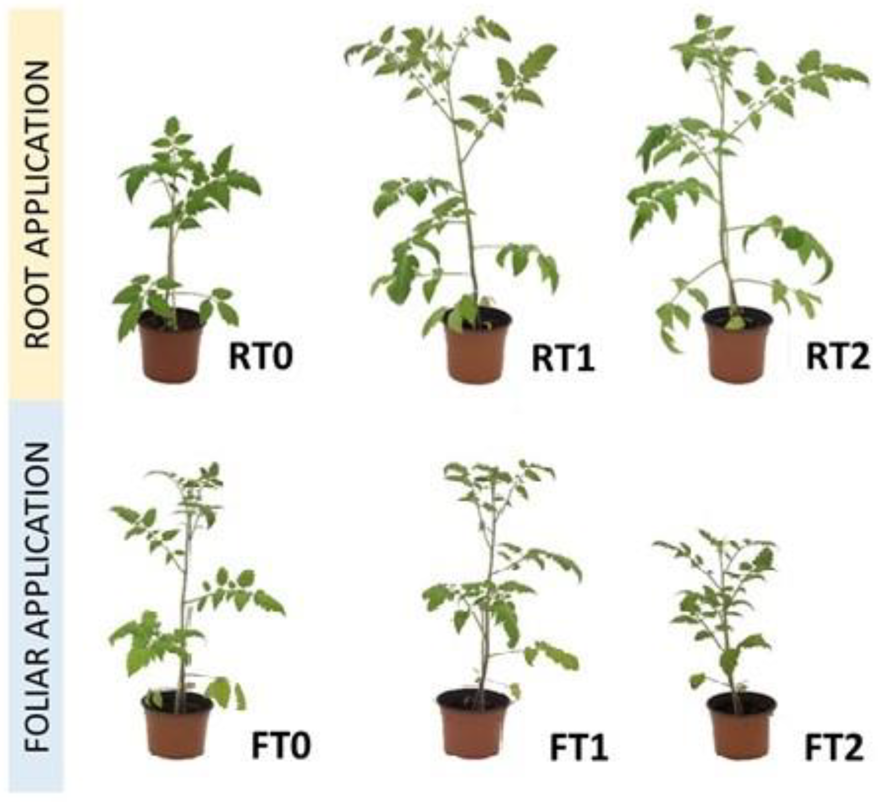 Horticulturae 09 01127 g001 Horticulturae 09 01127 g001
