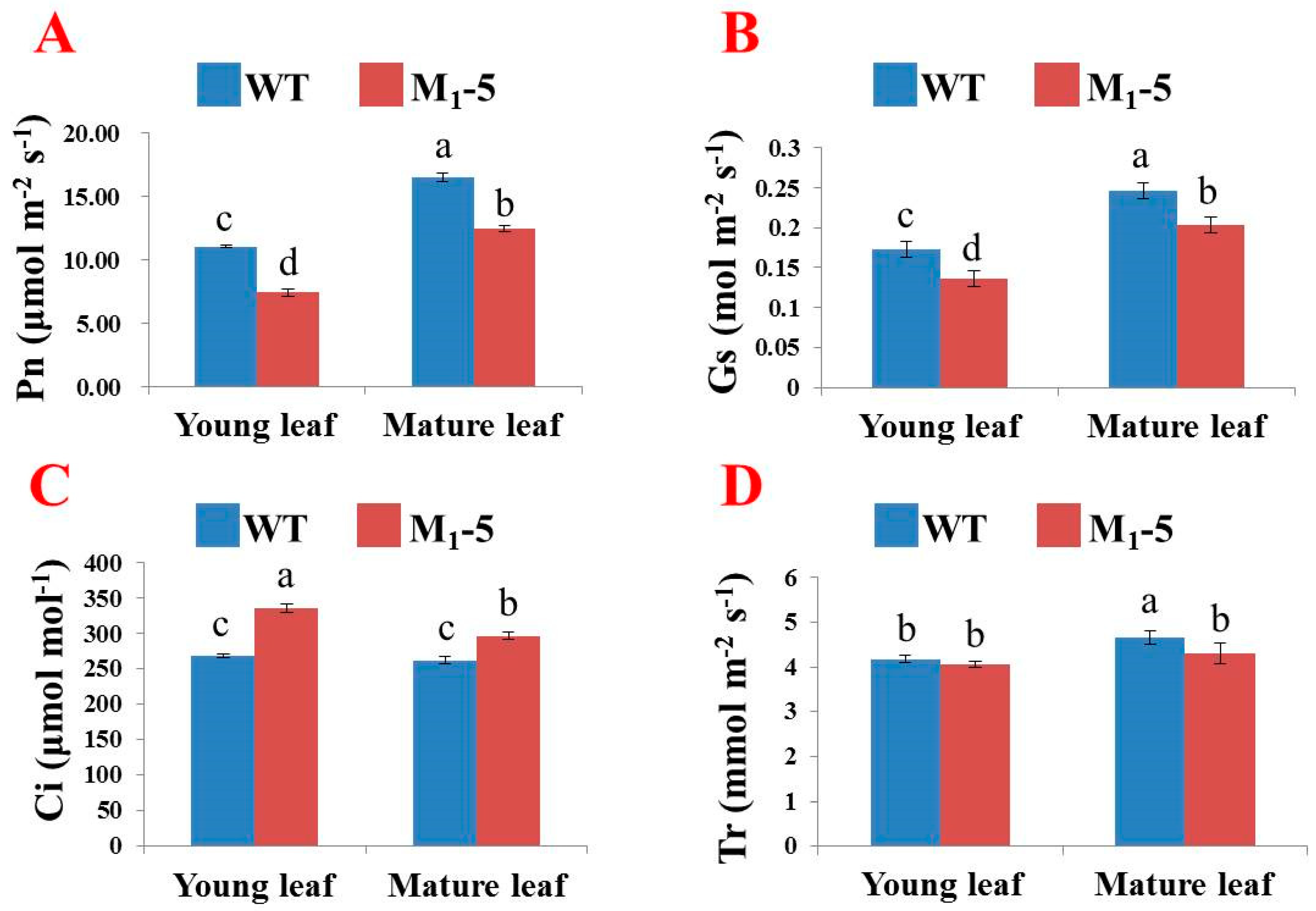 Horticulturae 09 01133 g005 Horticulturae 09 01133 g005
