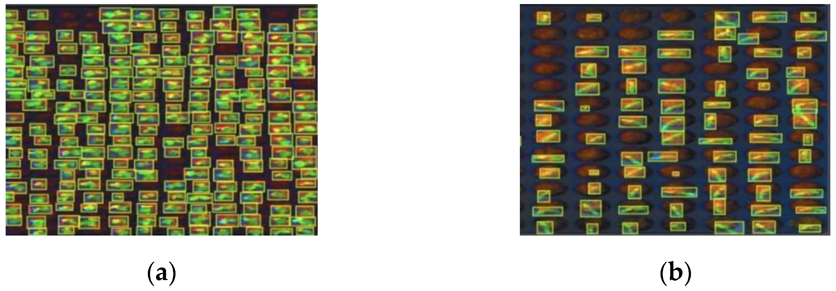 Horticulturae 09 01134 g005
