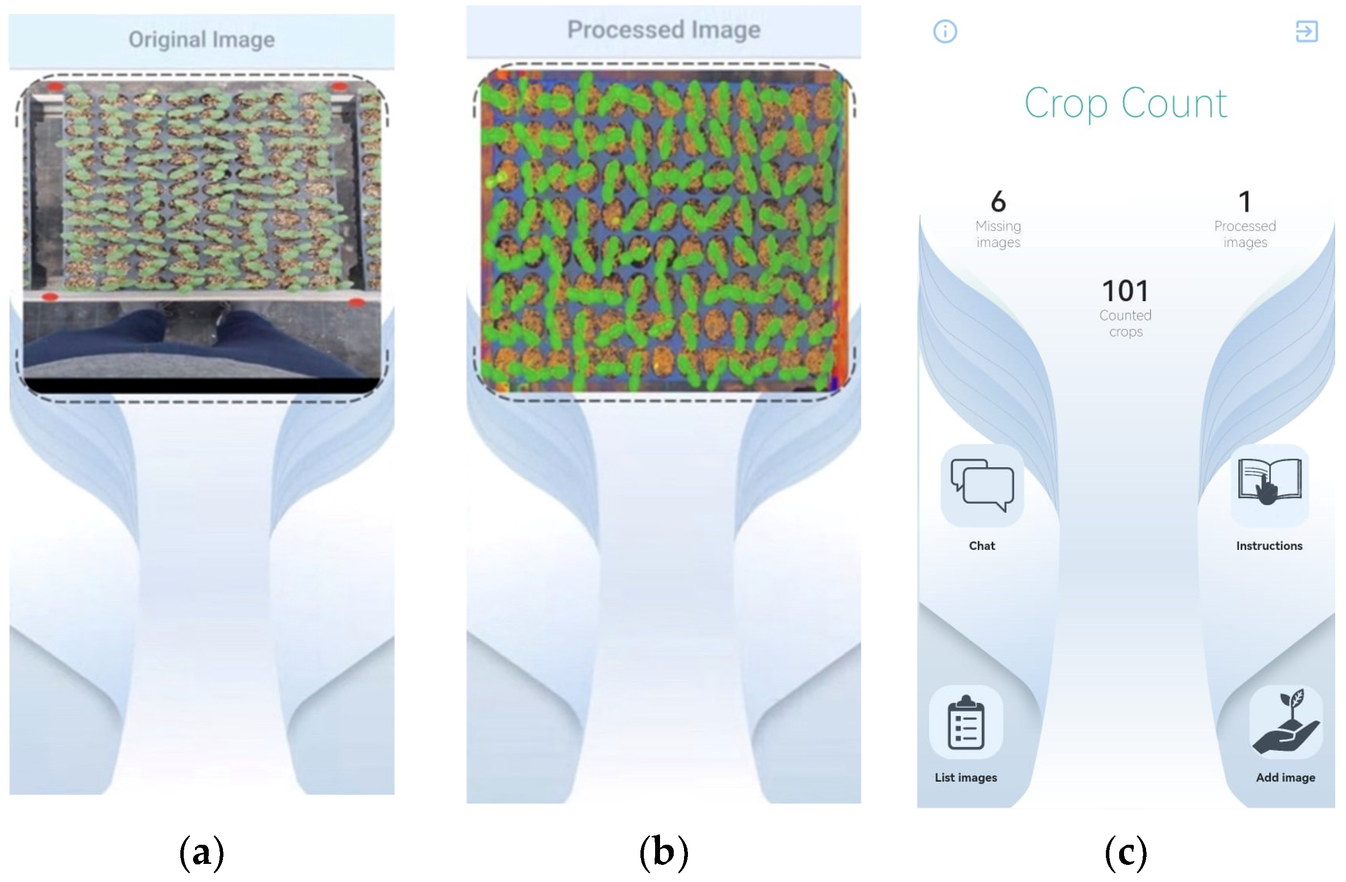 Horticulturae 09 01134 g011