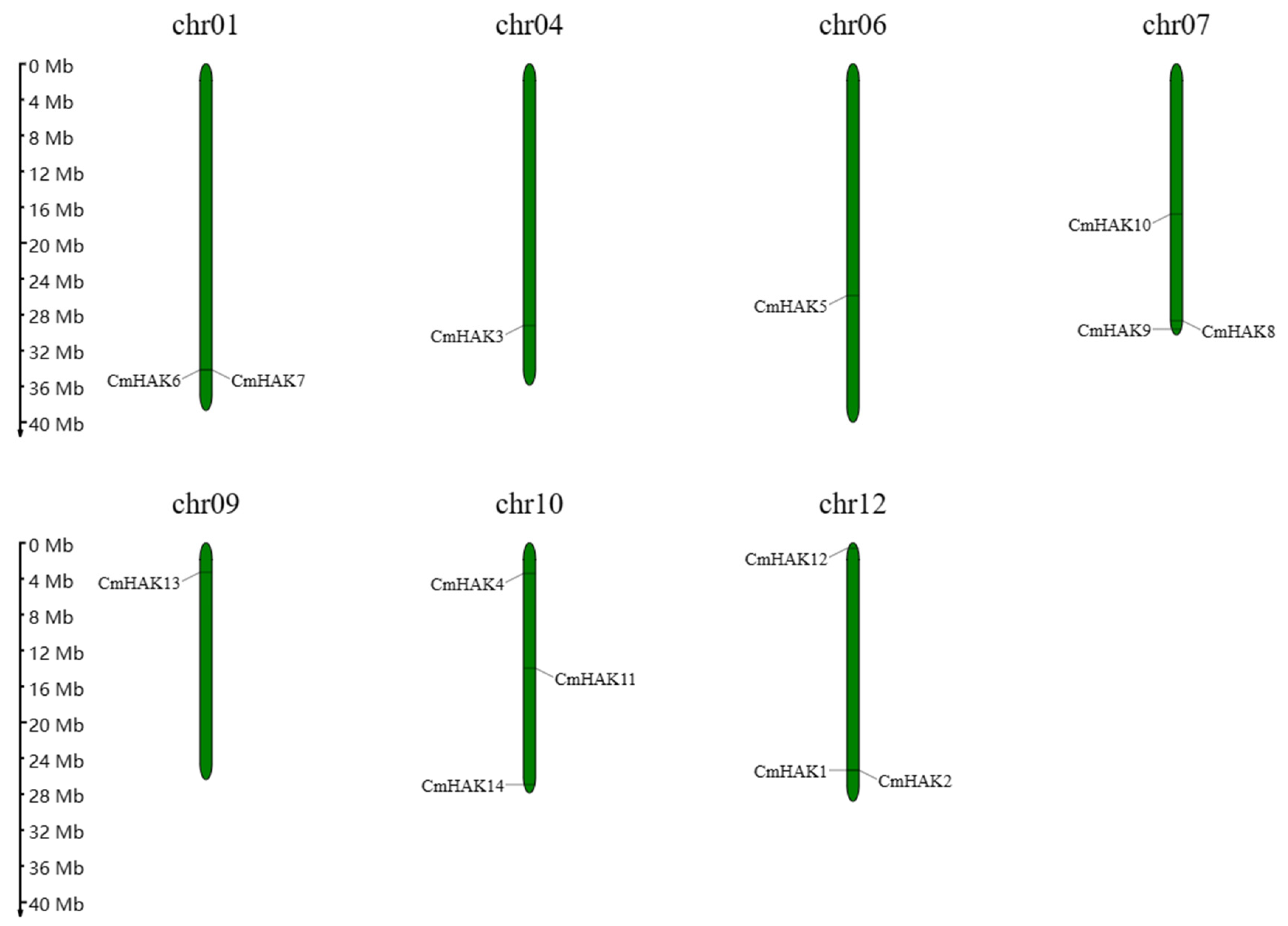 Horticulturae 09 01138 g001