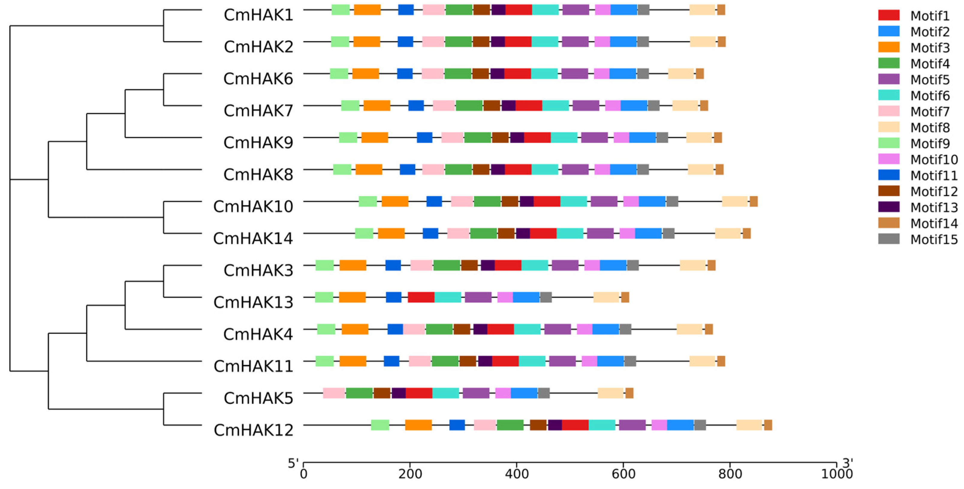 Horticulturae 09 01138 g003