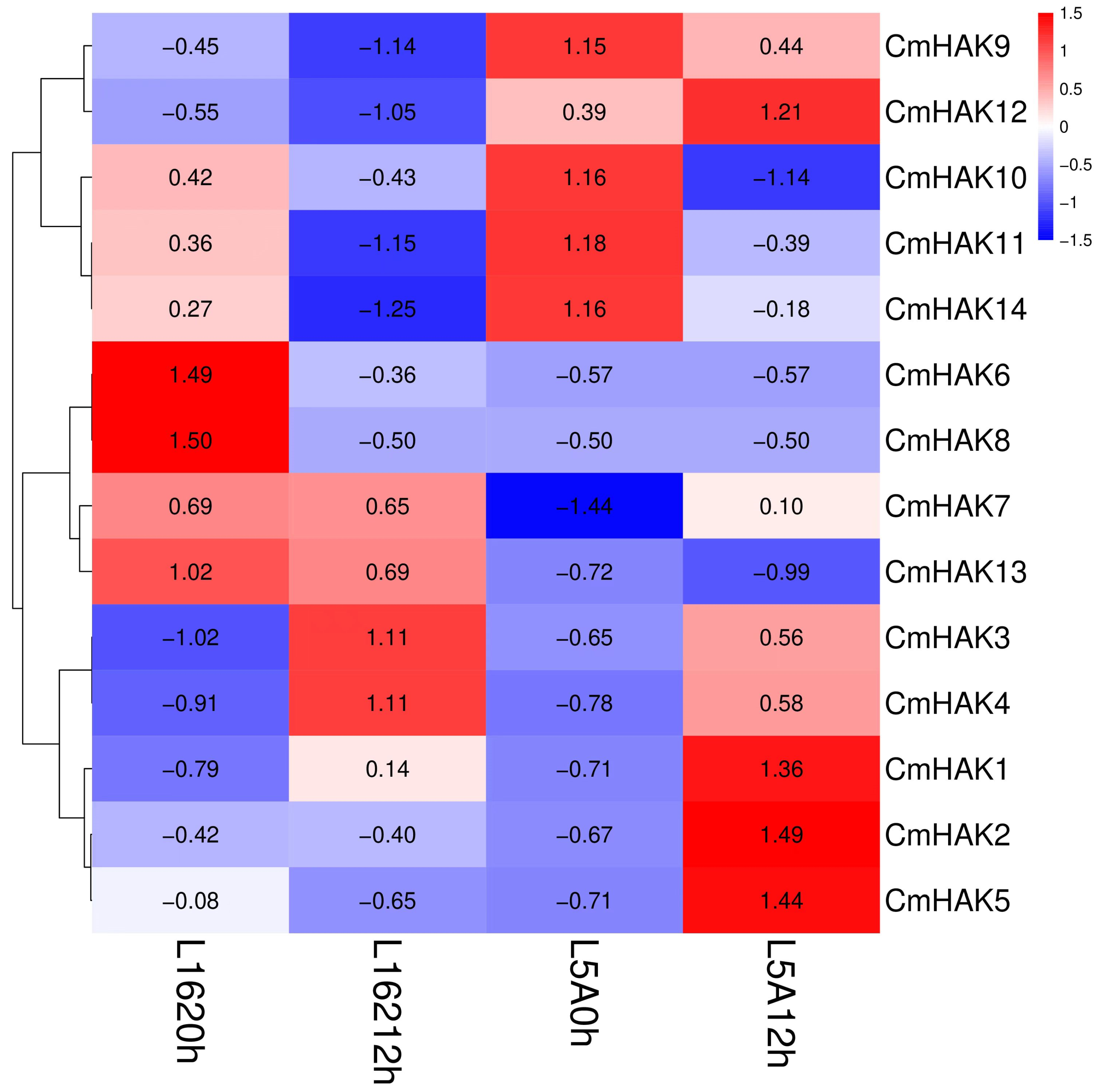 Horticulturae 09 01138 g008