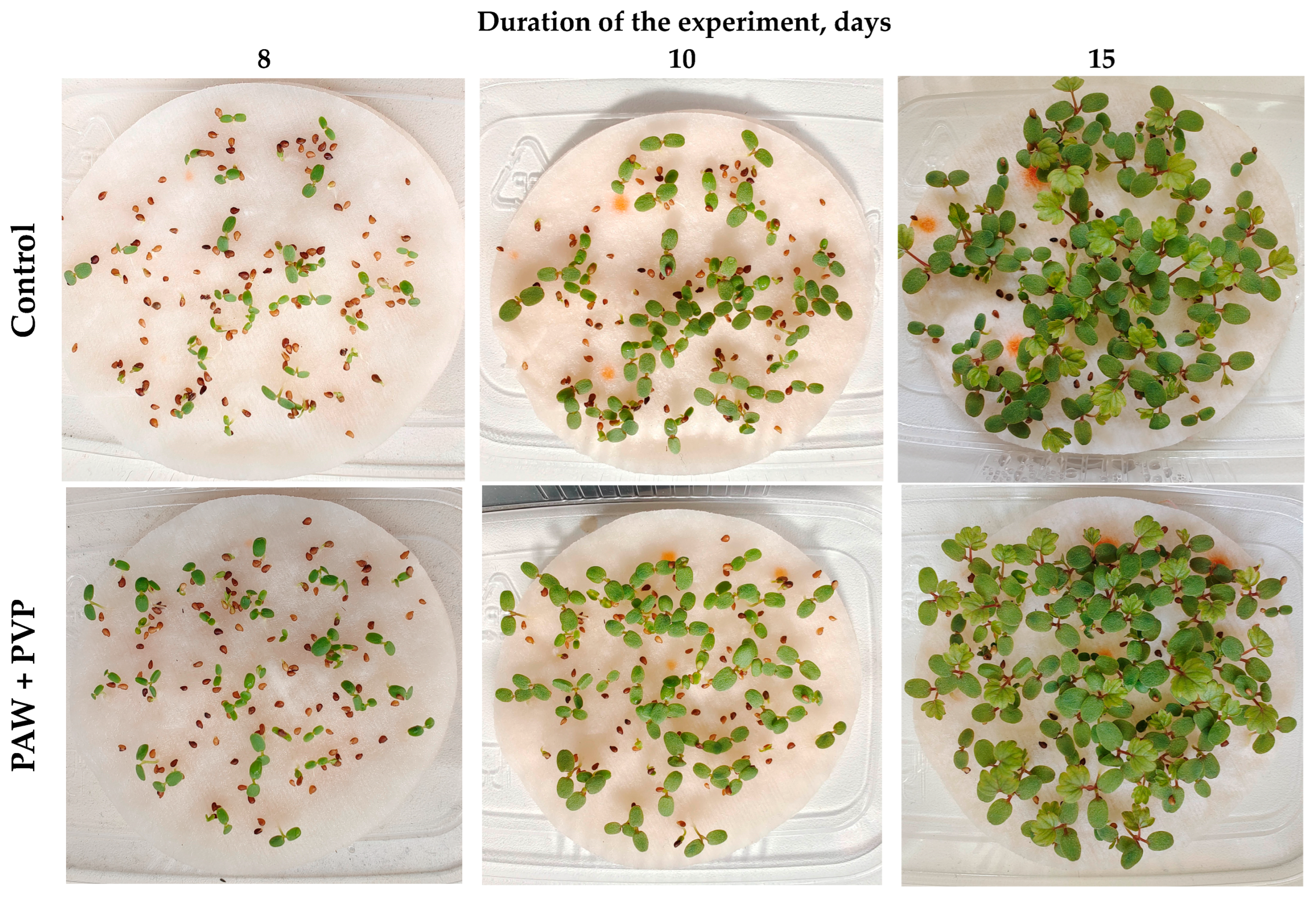 Horticulturae 09 01142 g007