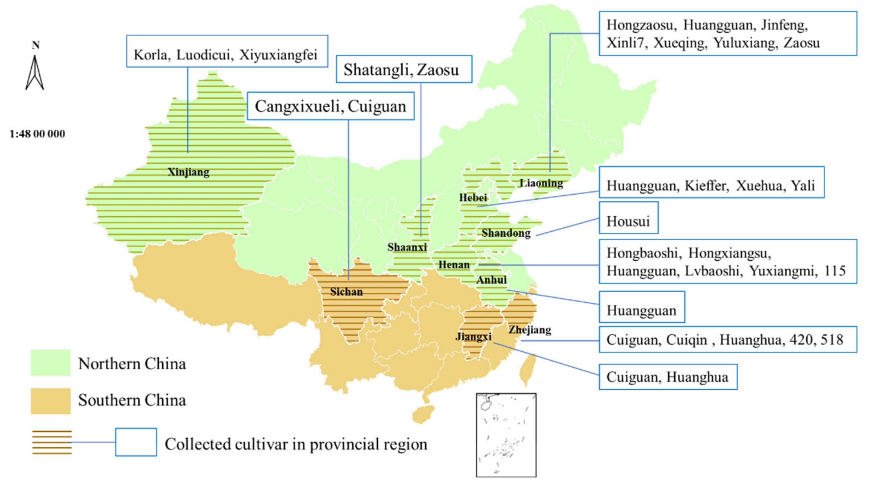 Horticulturae 09 01148 g001