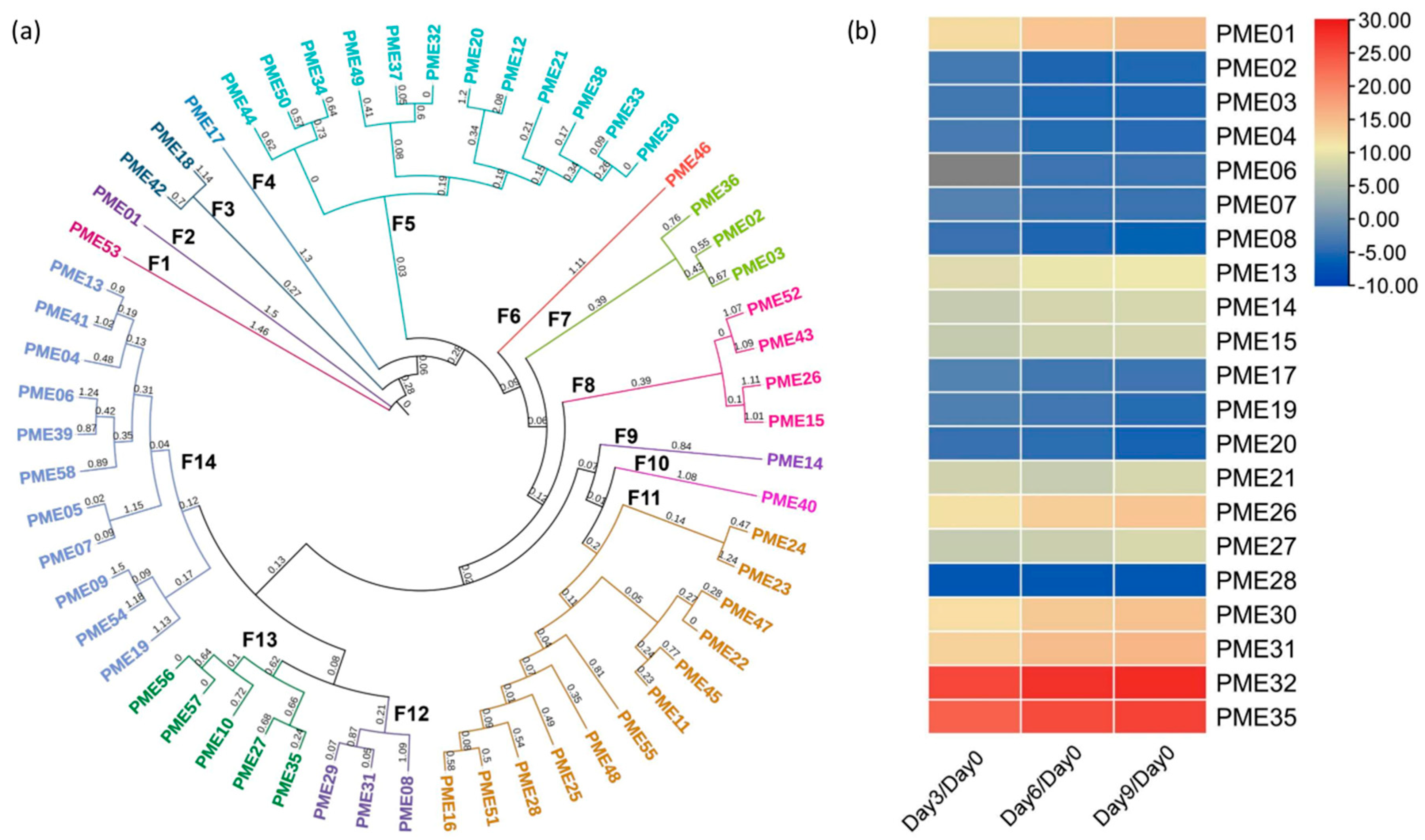 Pectin-Degrading Enzymes during Soursop (Annona muricata L