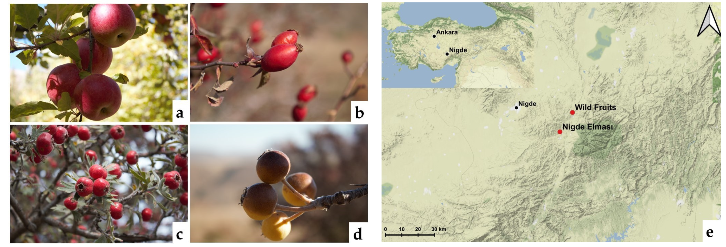 Horticulturae 09 01156 g001